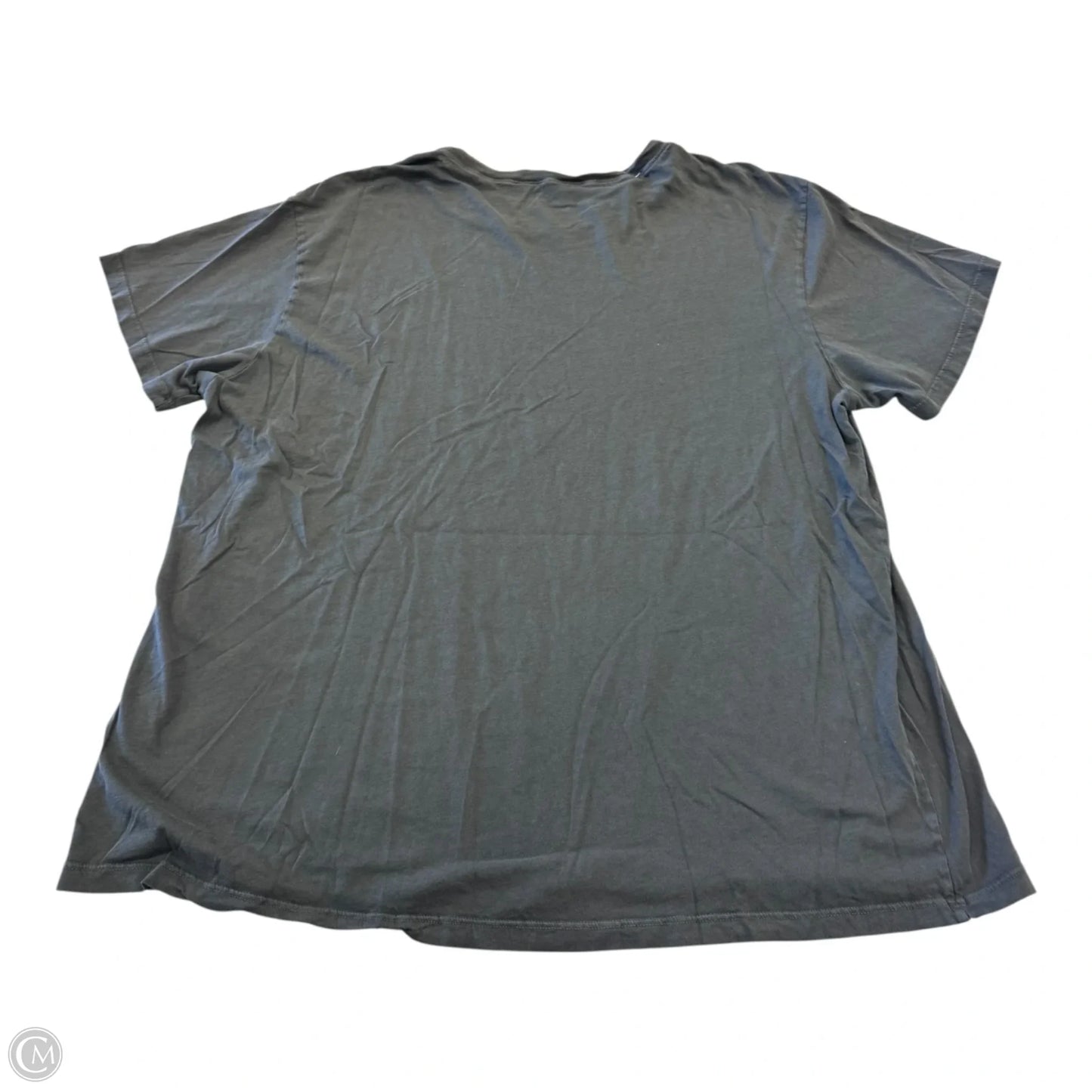 Top Short Sleeve Basic By Show Me Your Mumu In Grey, Size: Xxl