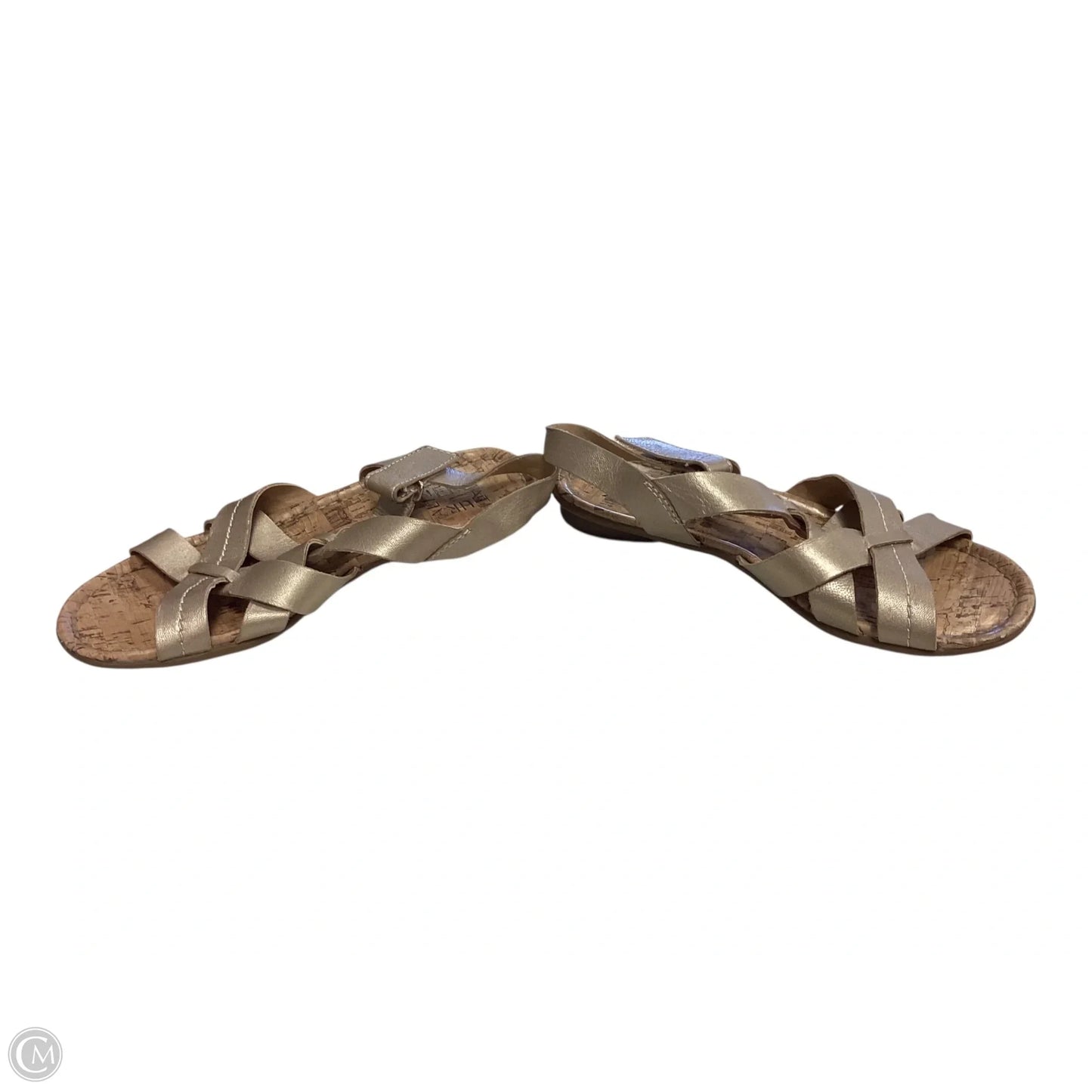 Shoes Flats By Naturalizer In Gold, Size: 6