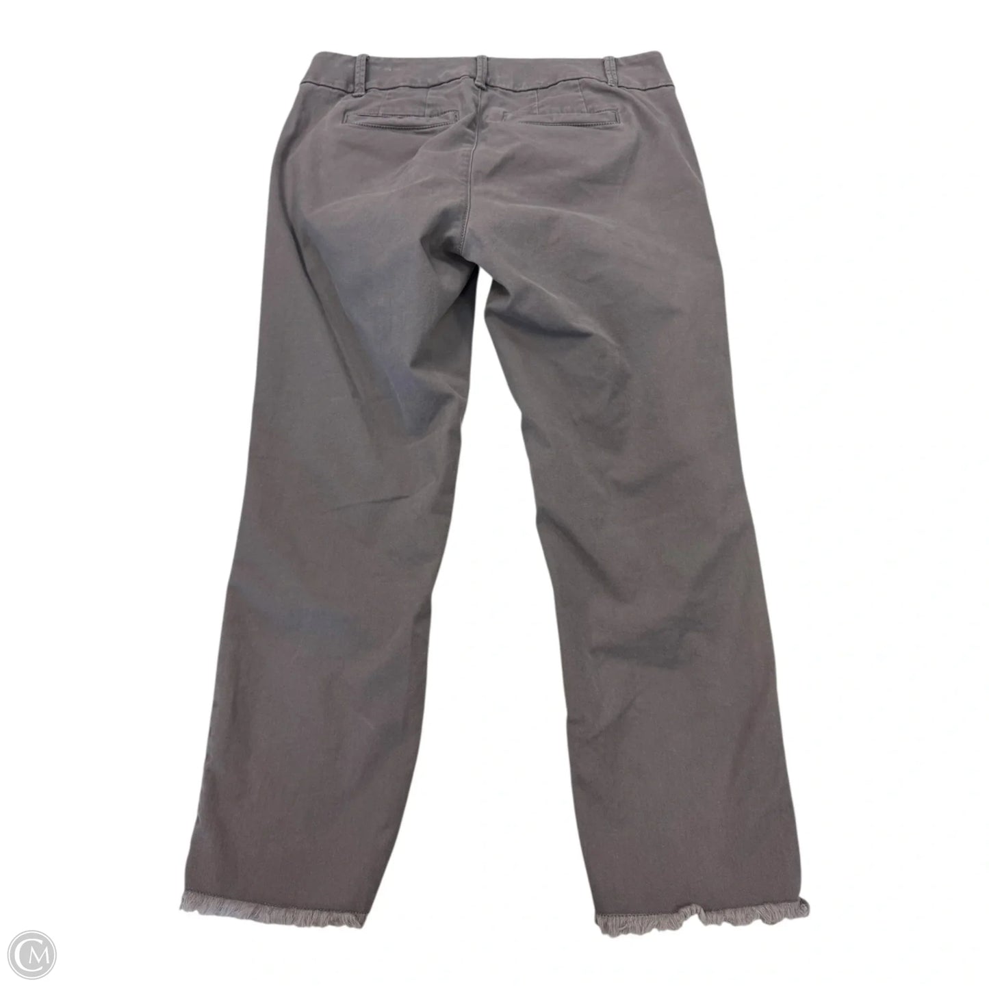 Pants Other By Loft In Purple, Size: 2p