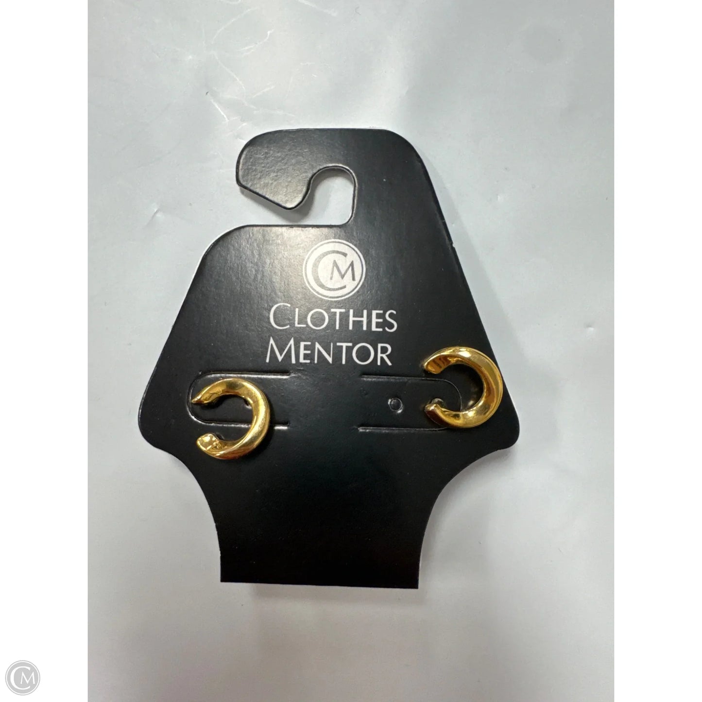 Earrings Dangle/drop By Clothes Mentor