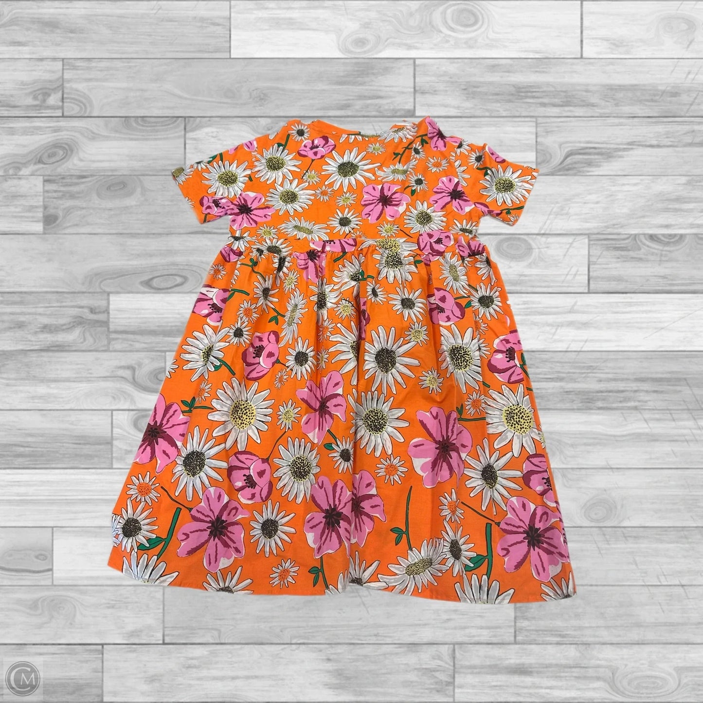 Dress Casual Short By Zara In Floral Print, Size: L