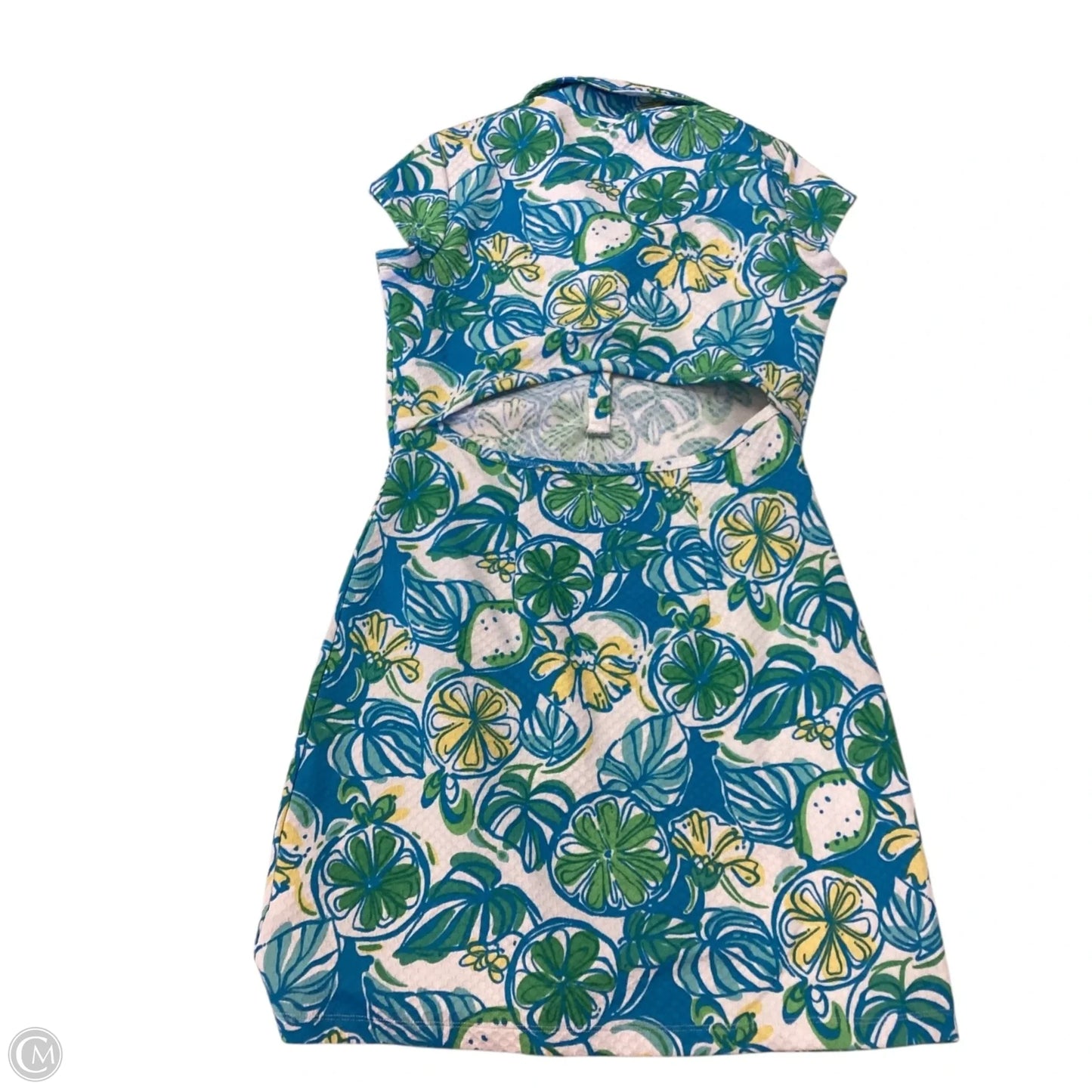 Dress Designer By Lilly Pulitzer In Blue & Green, Size: M