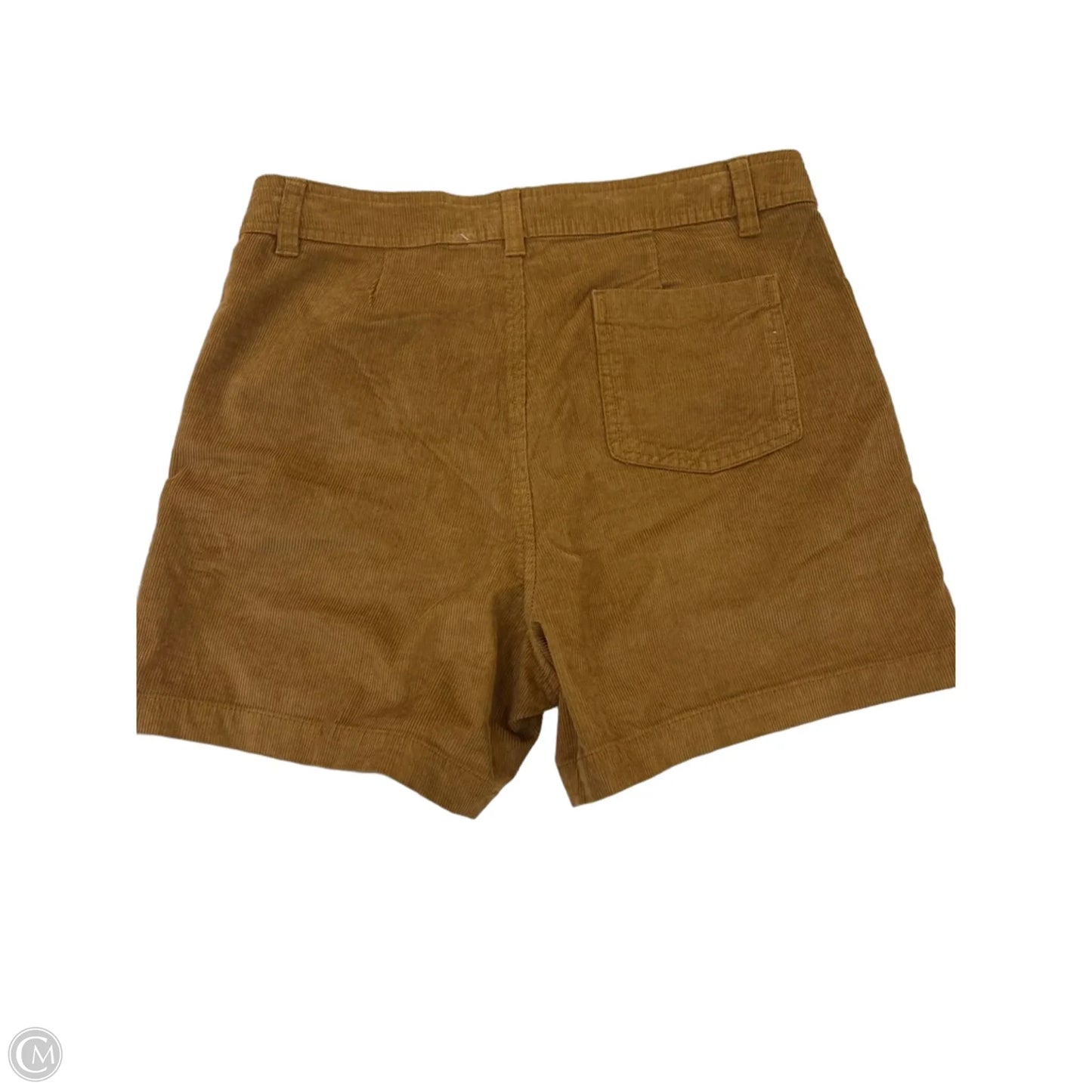 Shorts By Hang Ten In Brown, Size: 8