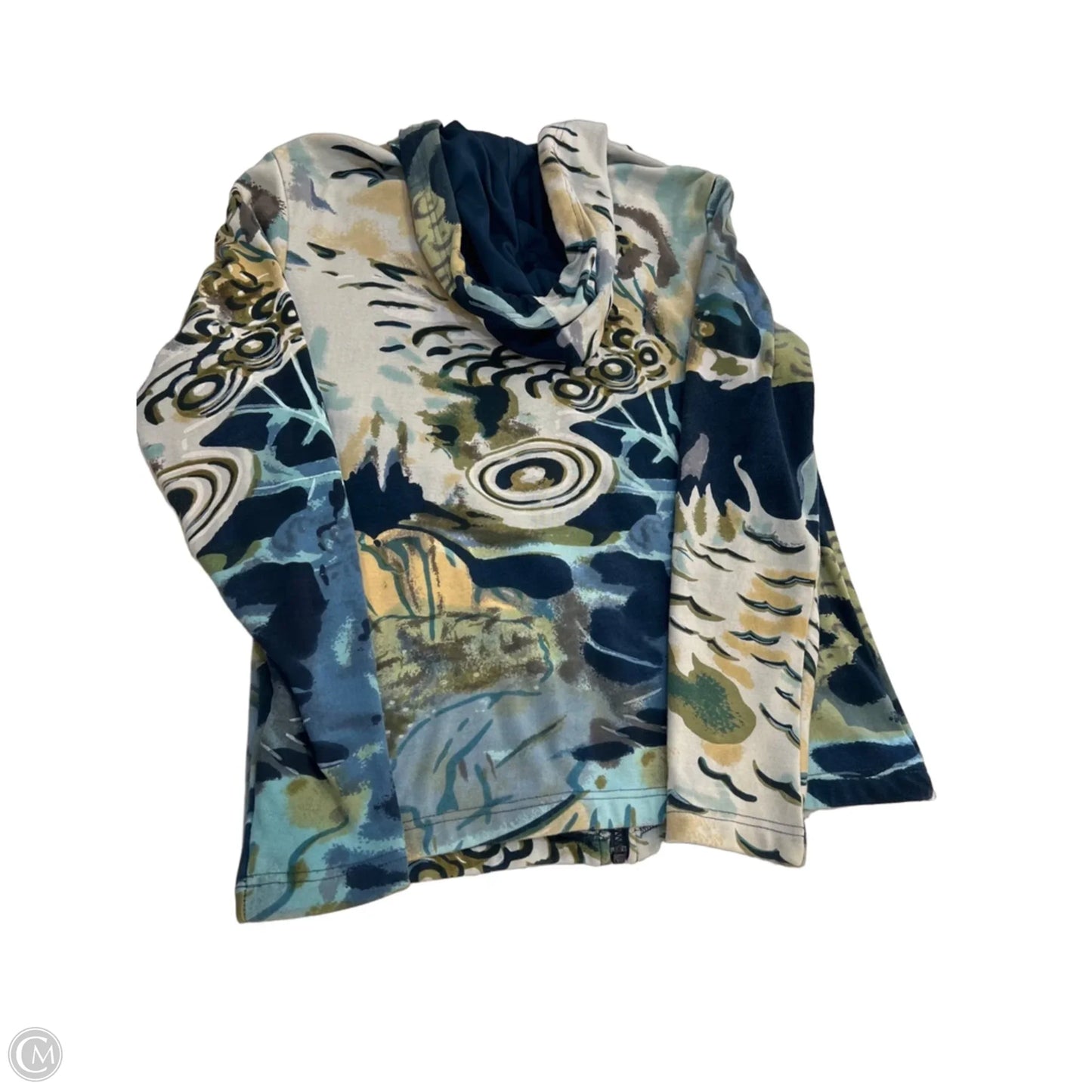 Sweatshirt Hoodie By Parsley & Sage In Blue & Tan, Size: S