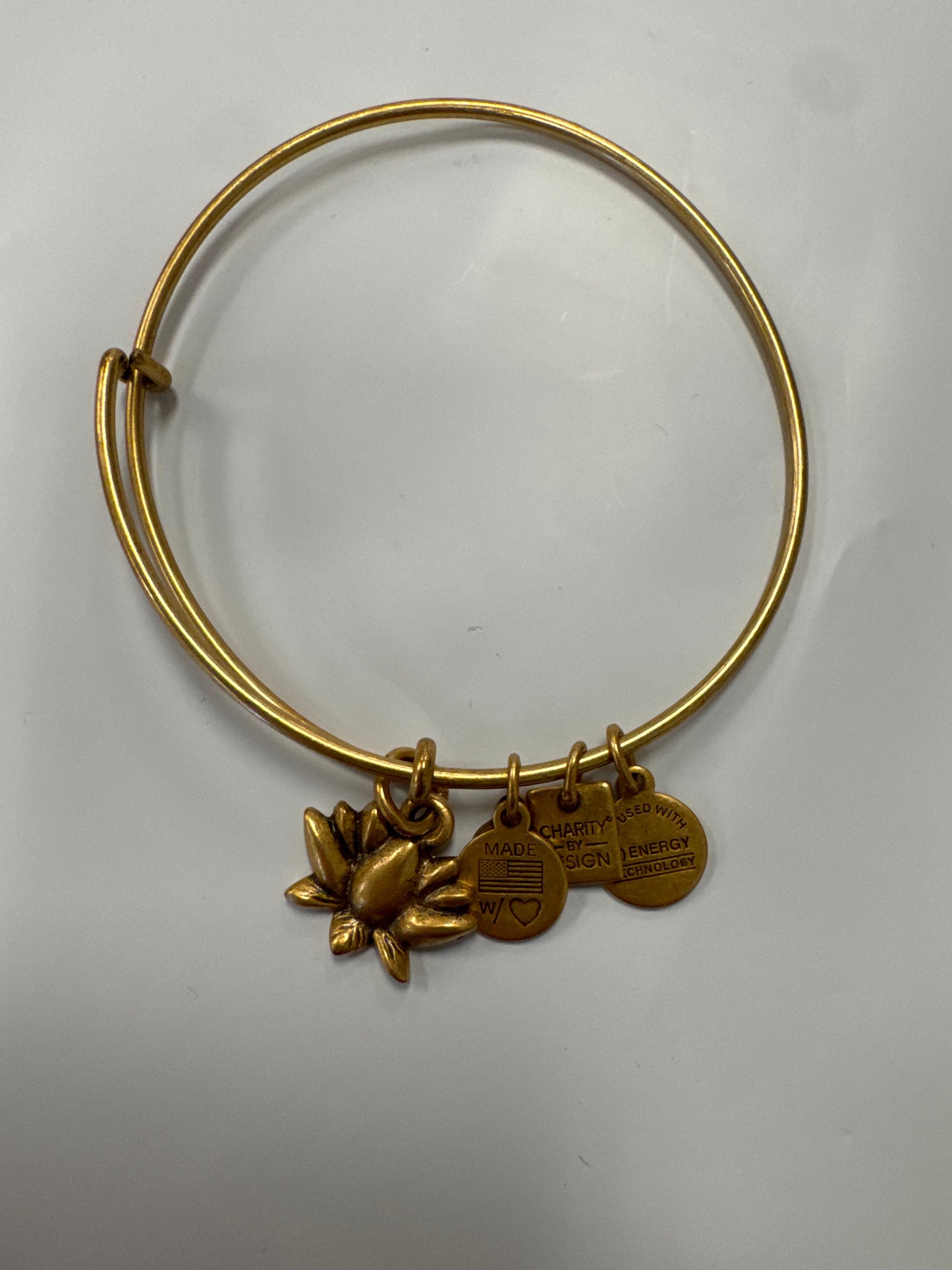 Bracelet Bangle By Alex And Ani