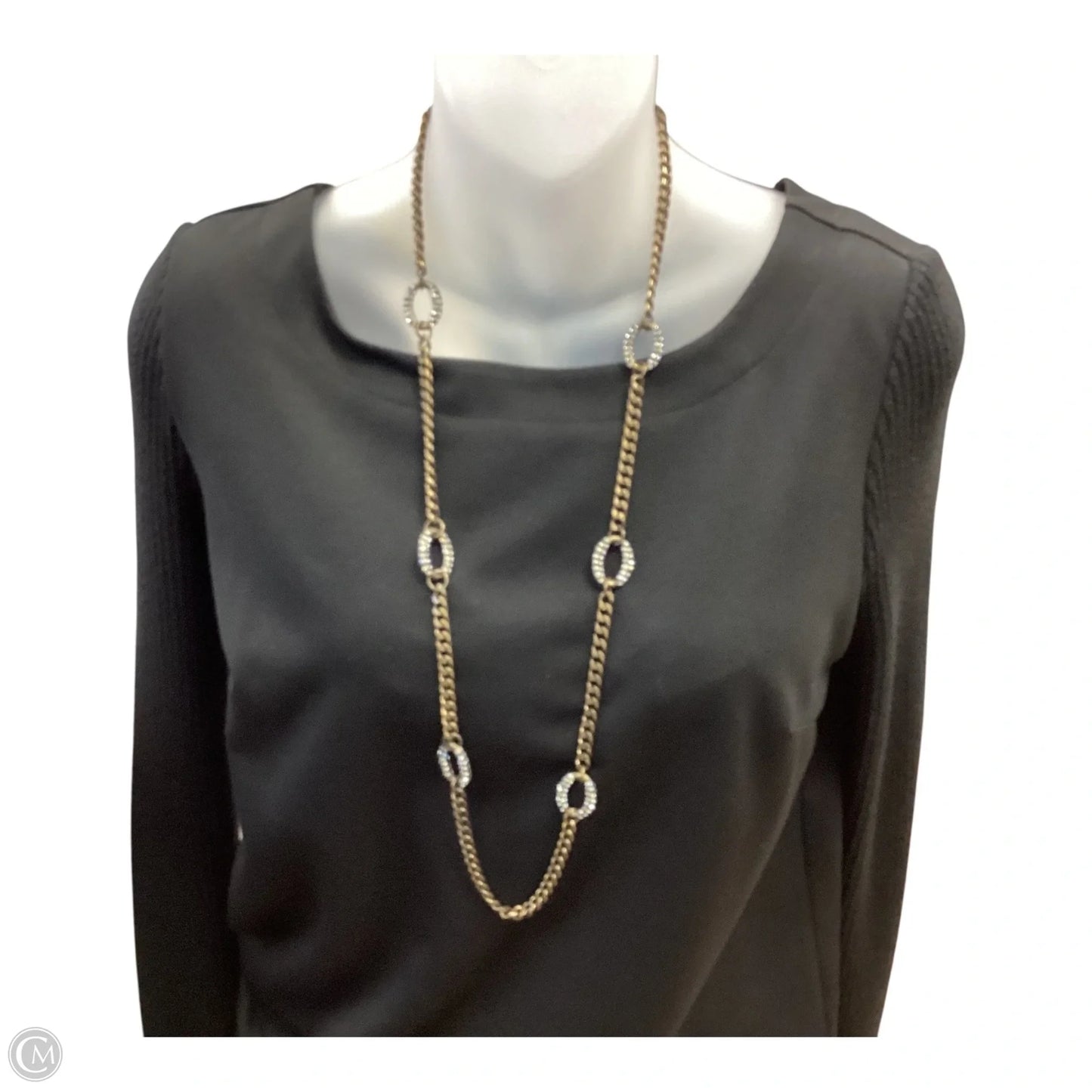 Necklace Chain By Loft