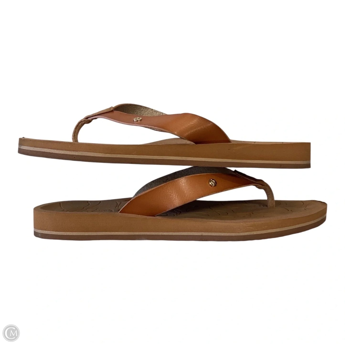 Sandals Flip Flops By Clothes Mentor In Tan, Size: 9.5