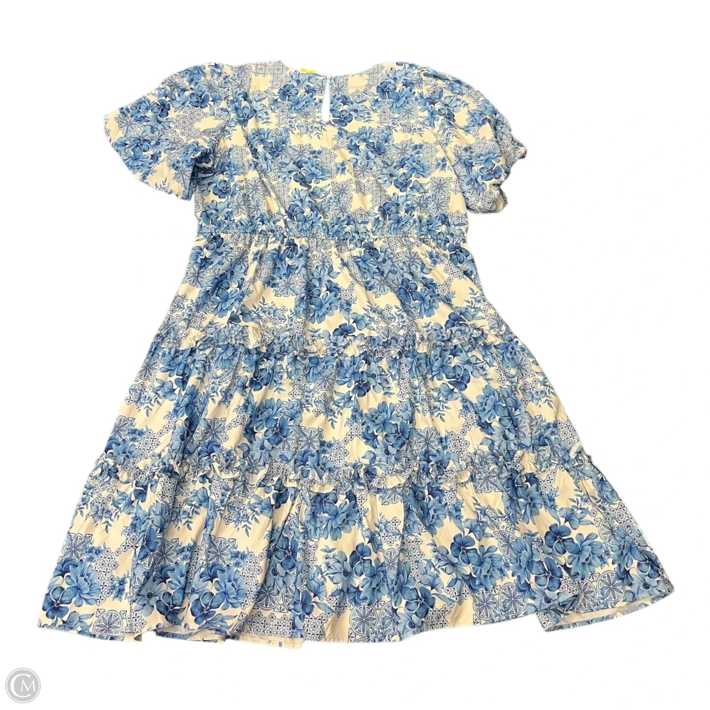 Dress Casual Short By Badgley Mischka In Blue & White, Size: 3x