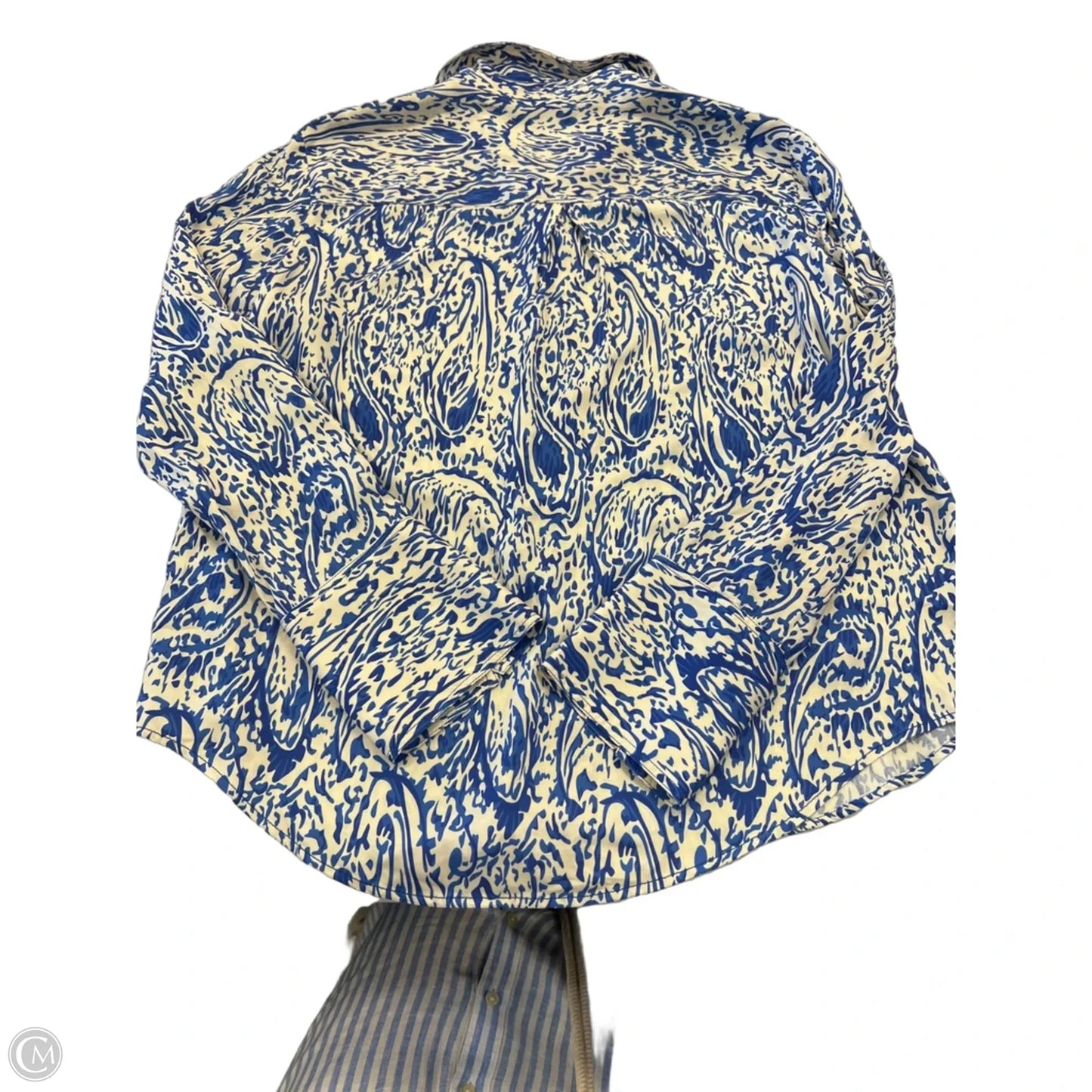 Blouse Long Sleeve By Zara In Blue & White, Size: L