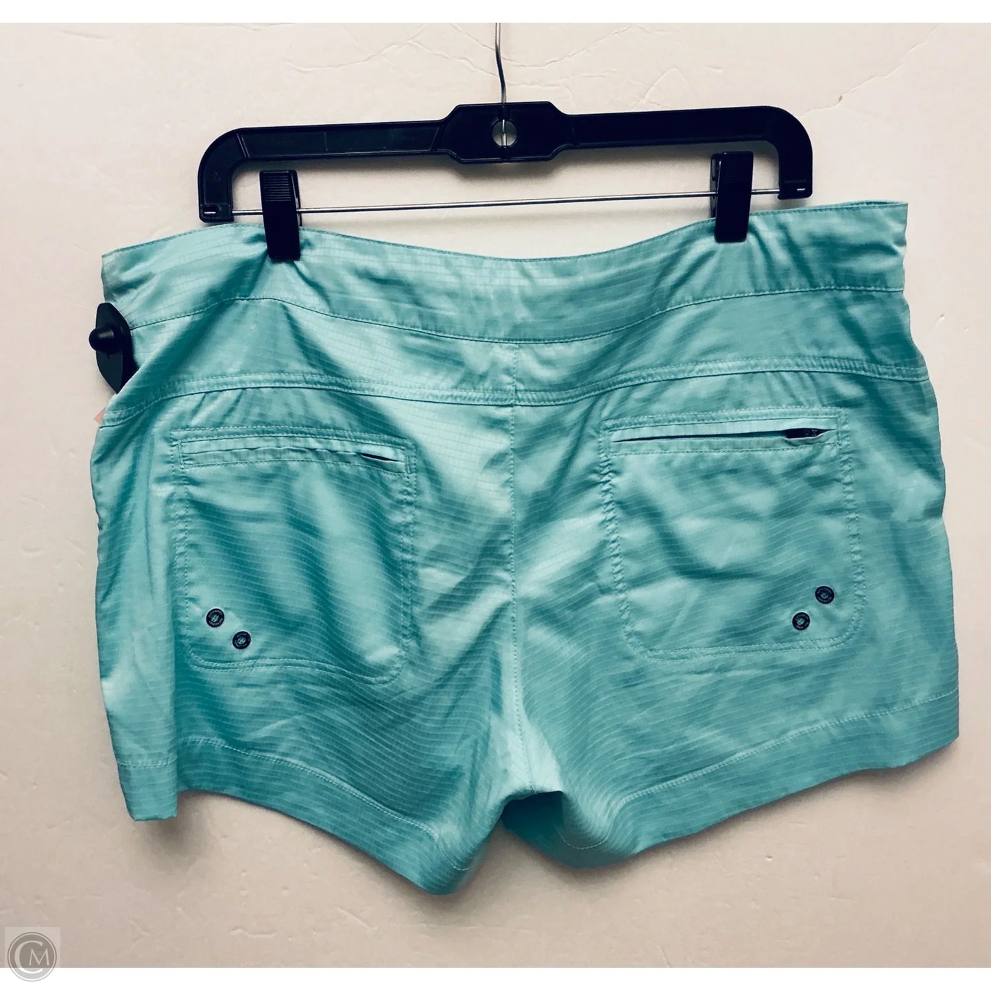 Shorts By Clothes Mentor In Teal, Size: L