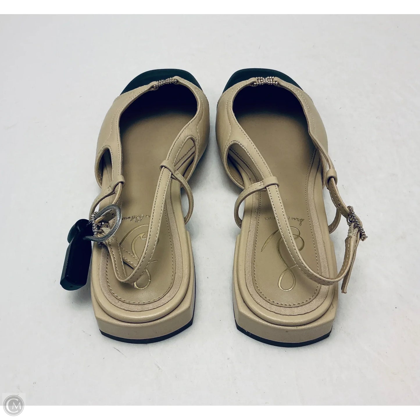 Shoes Flats By Sam Edelman In Black & Tan, Size: 6
