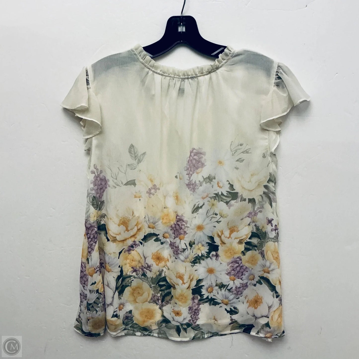 Top Sleeveless By Rachel Zoe In Cream, Size: L