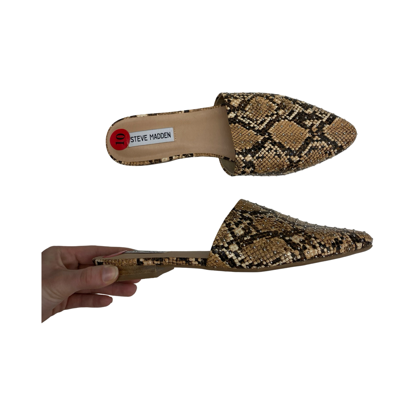 Shoes Flats By Steve Madden In Snakeskin Print, Size:10
