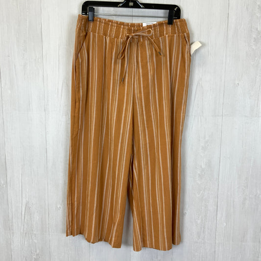Capris By Style And Company  Size: Xl