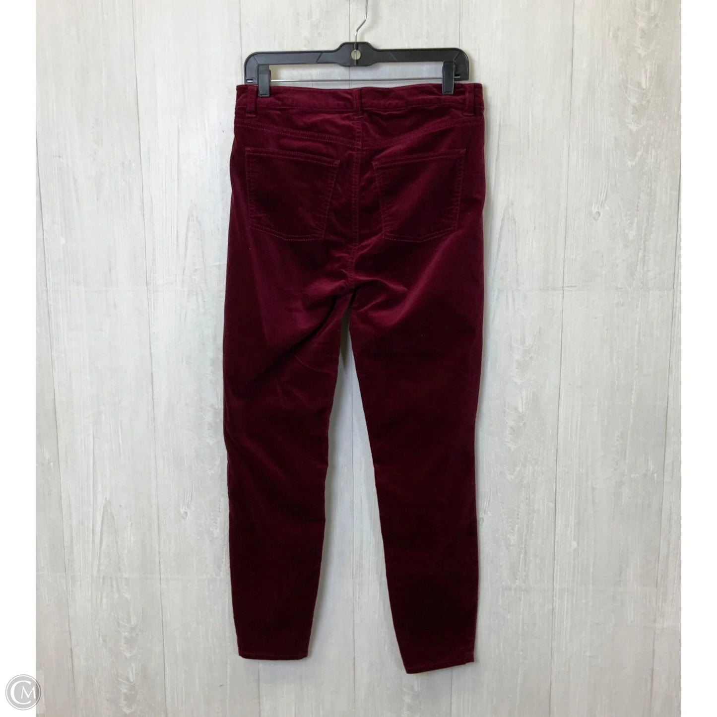 Pants Velvet By Talbots In Red, Size: 6