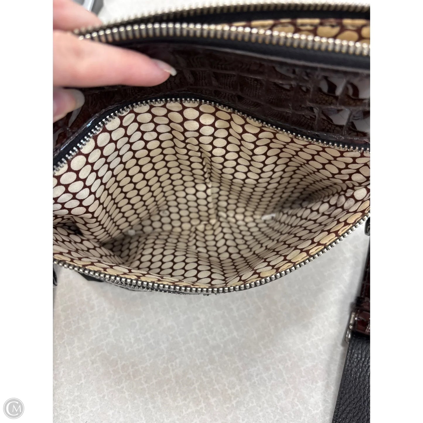 Handbag Designer By Brighton, Size: Medium