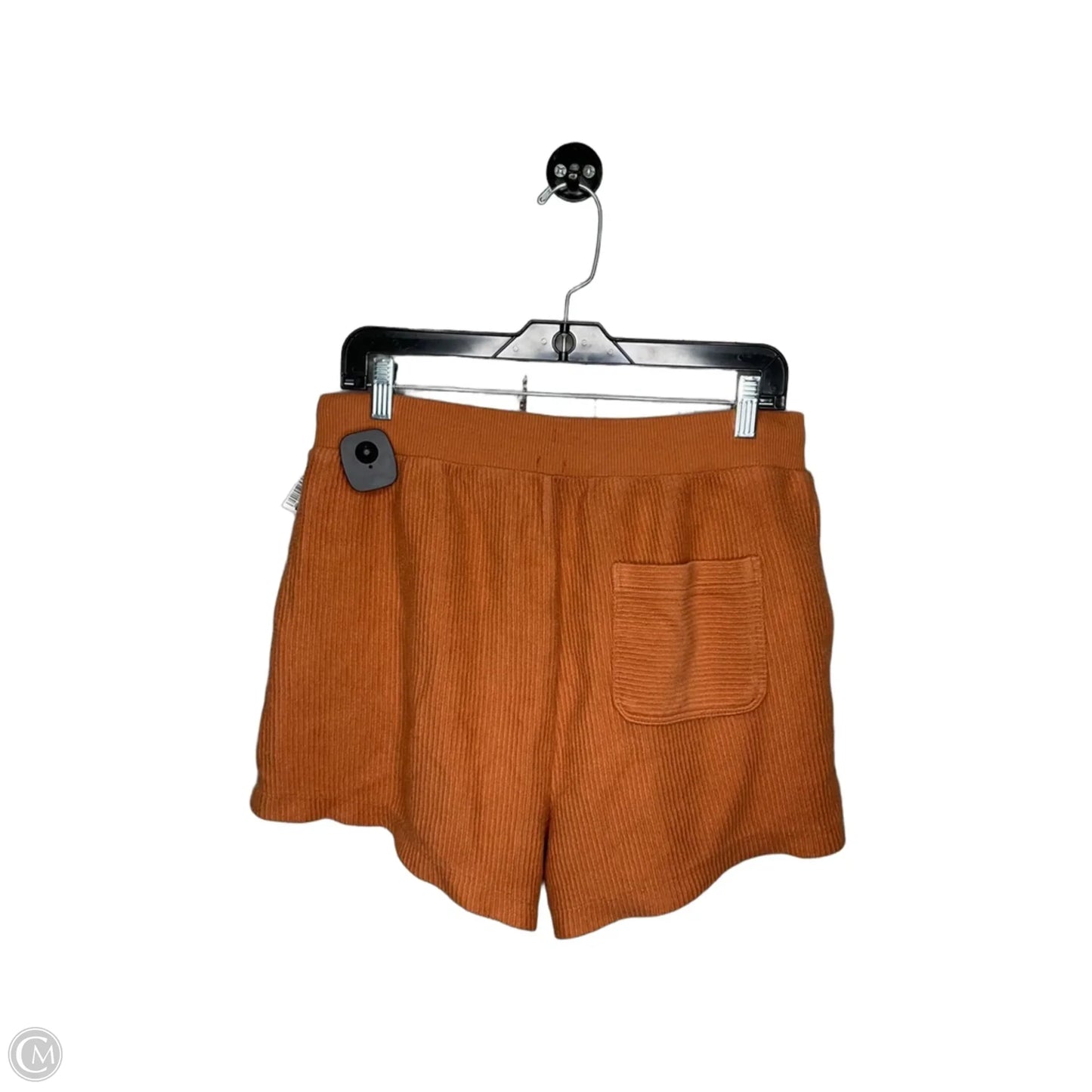 Shorts By Aerie In Orange, Size: L