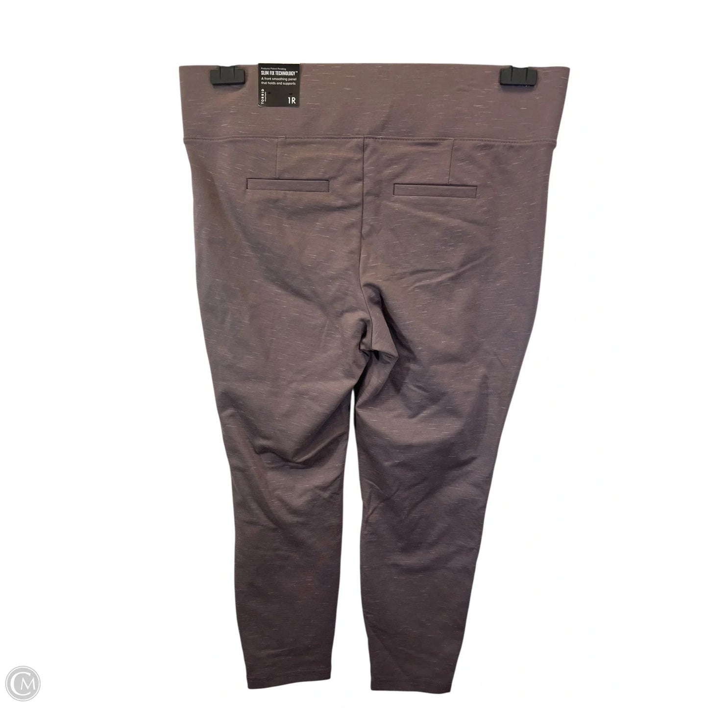 Pants Leggings By Torrid In Taupe, Size: 1x