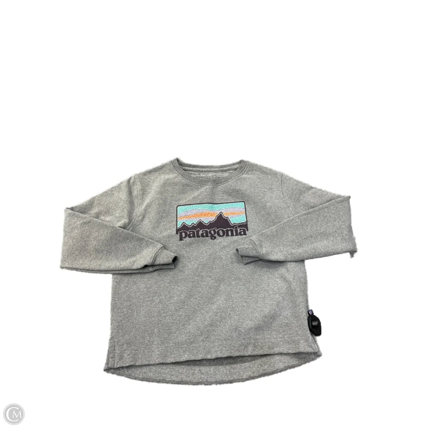 Sweatshirt Crewneck By Patagonia In Grey, Size: S