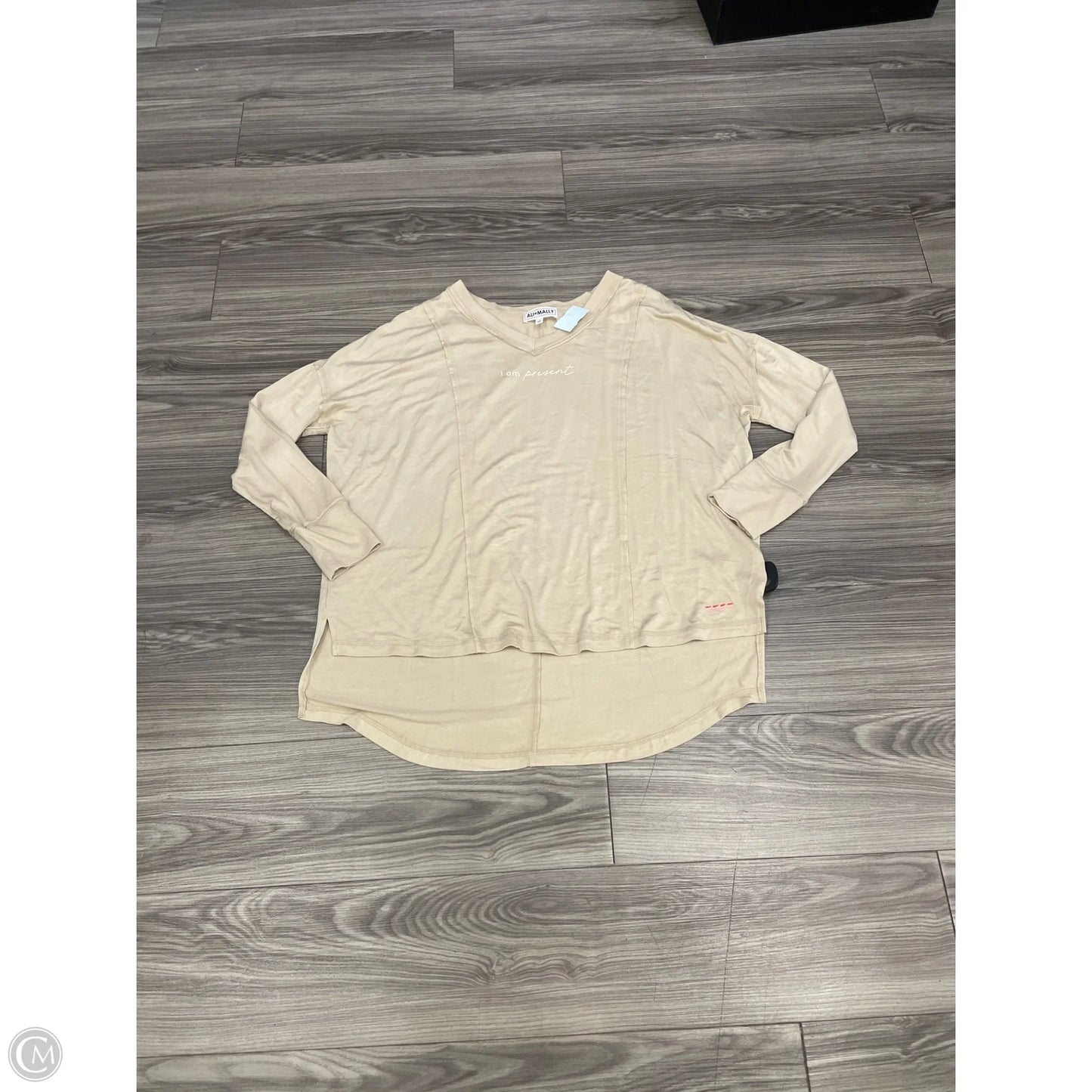 Top Long Sleeve Basic By Clothes Mentor In Brown, Size: L