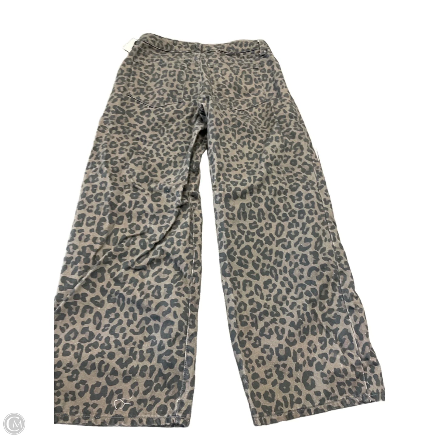 Pants Other By Wild Fable In Animal Print, Size: 8