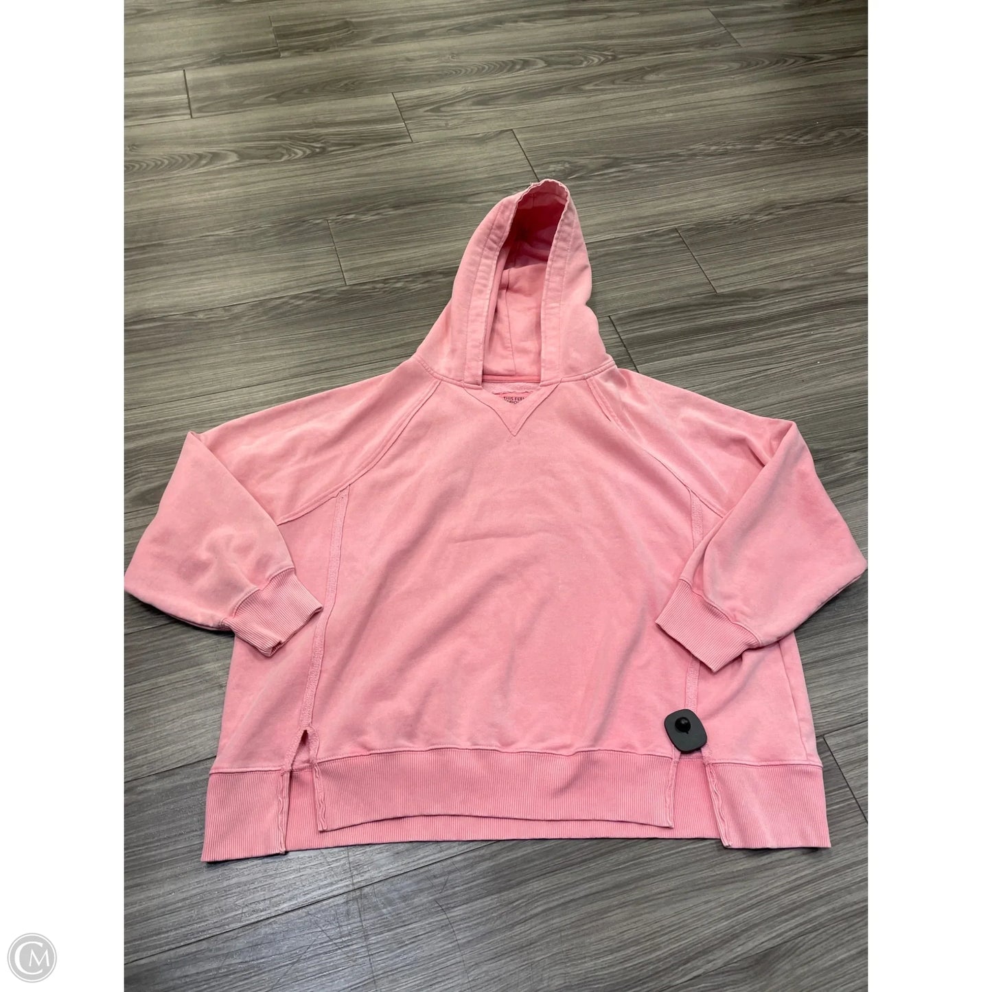 Sweatshirt Hoodie By Aerie In Pink, Size: L