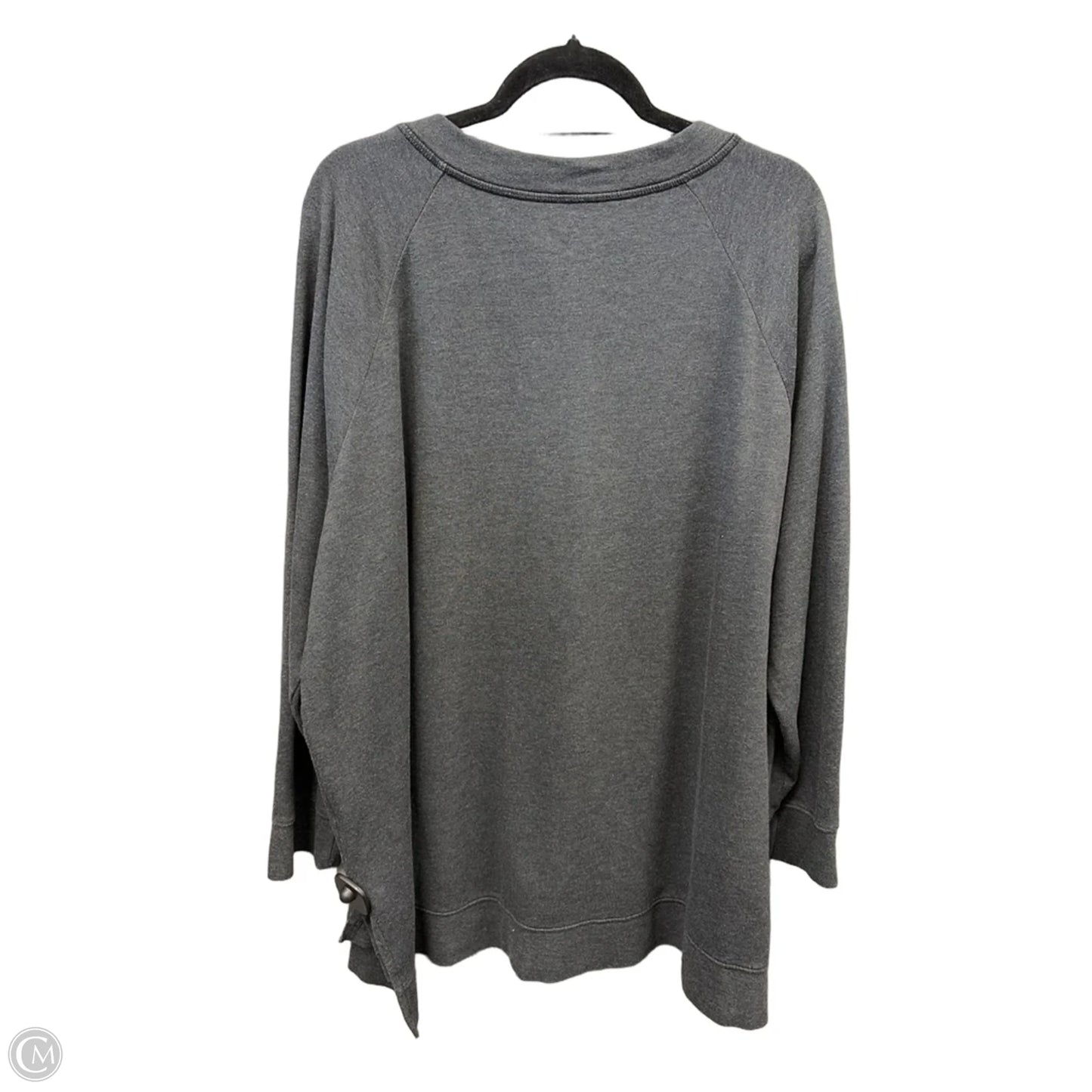 Sweatshirt Crewneck By Terra & Sky In Grey, Size: 2x