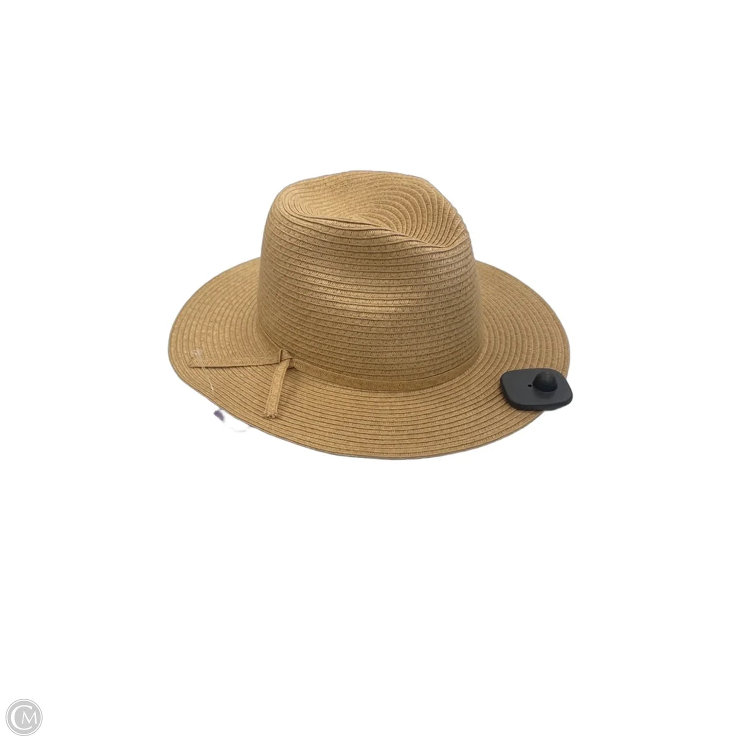 Hat Fedora By Time And Tru