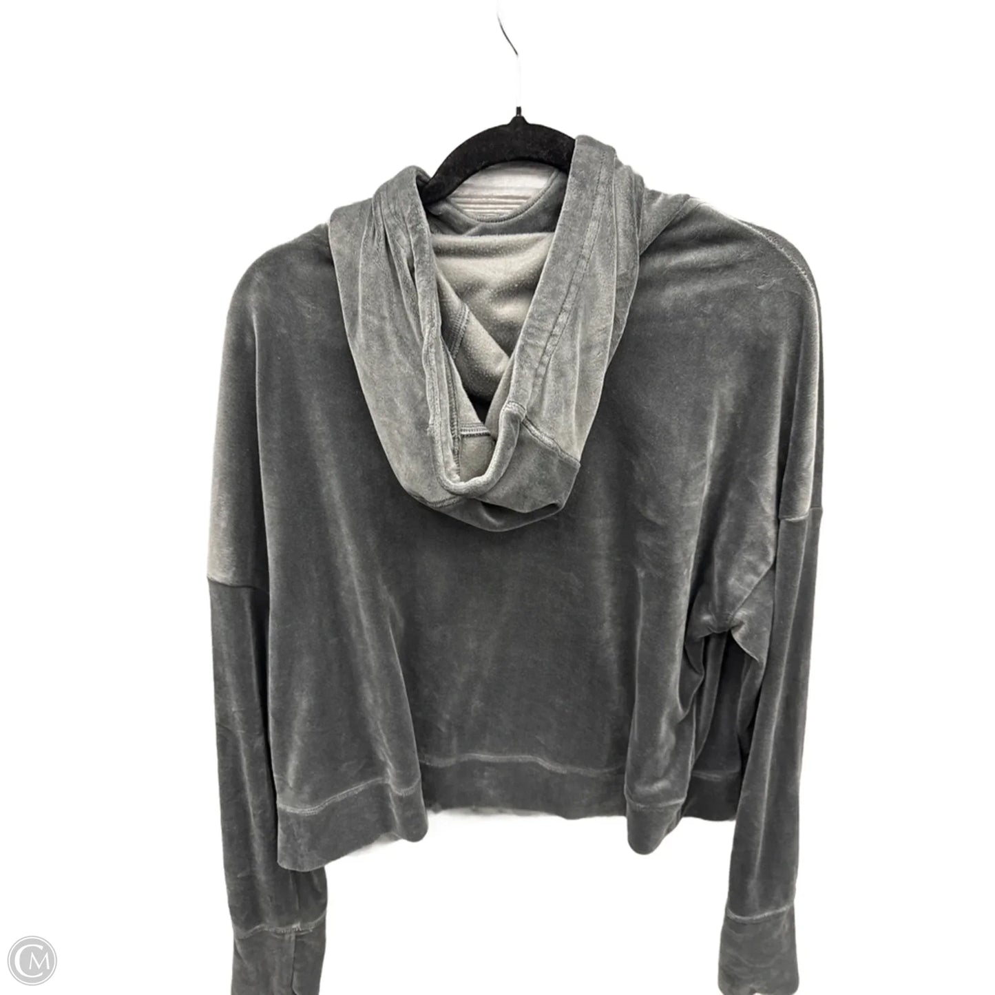 Sweatshirt Hoodie By Offline By Aerie In Grey, Size: L