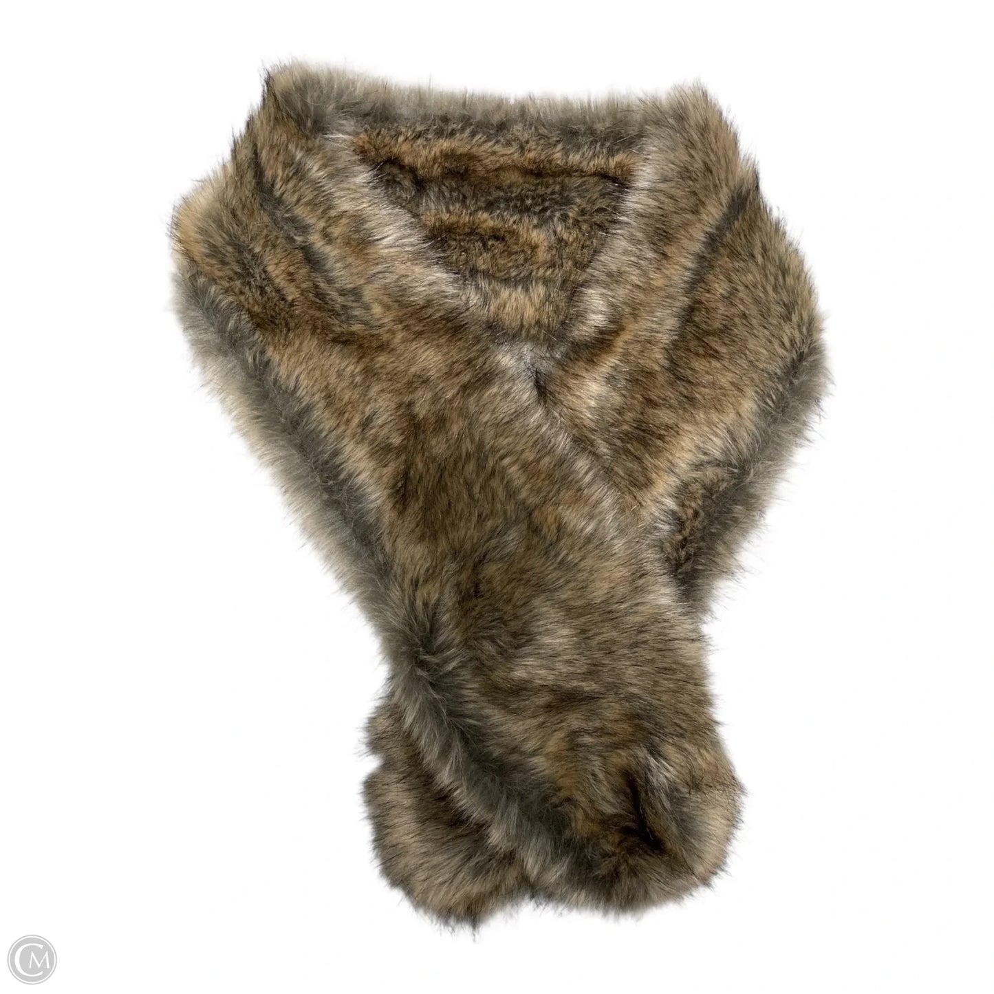 Scarf Winter By Clothes Mentor In Beige