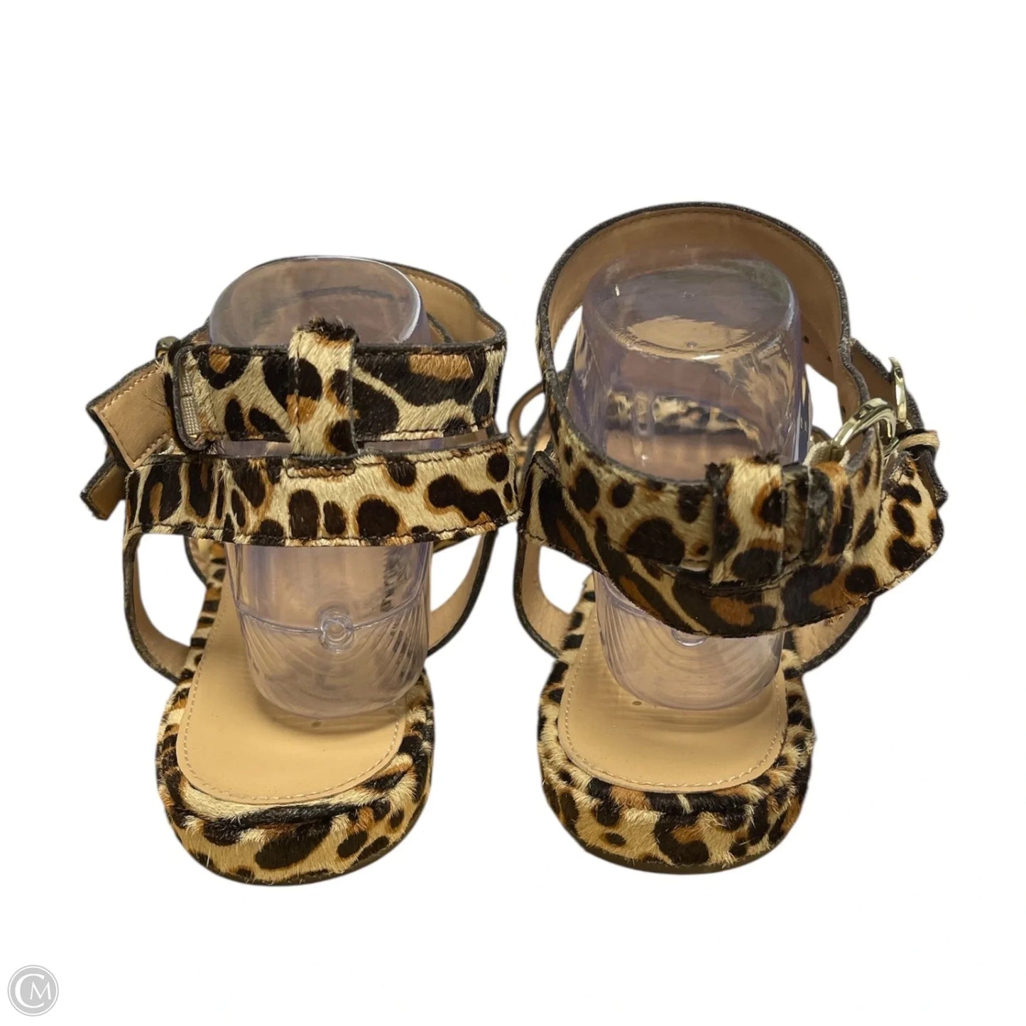 Sandals Flats By J. Crew In Animal Print, Size: 12