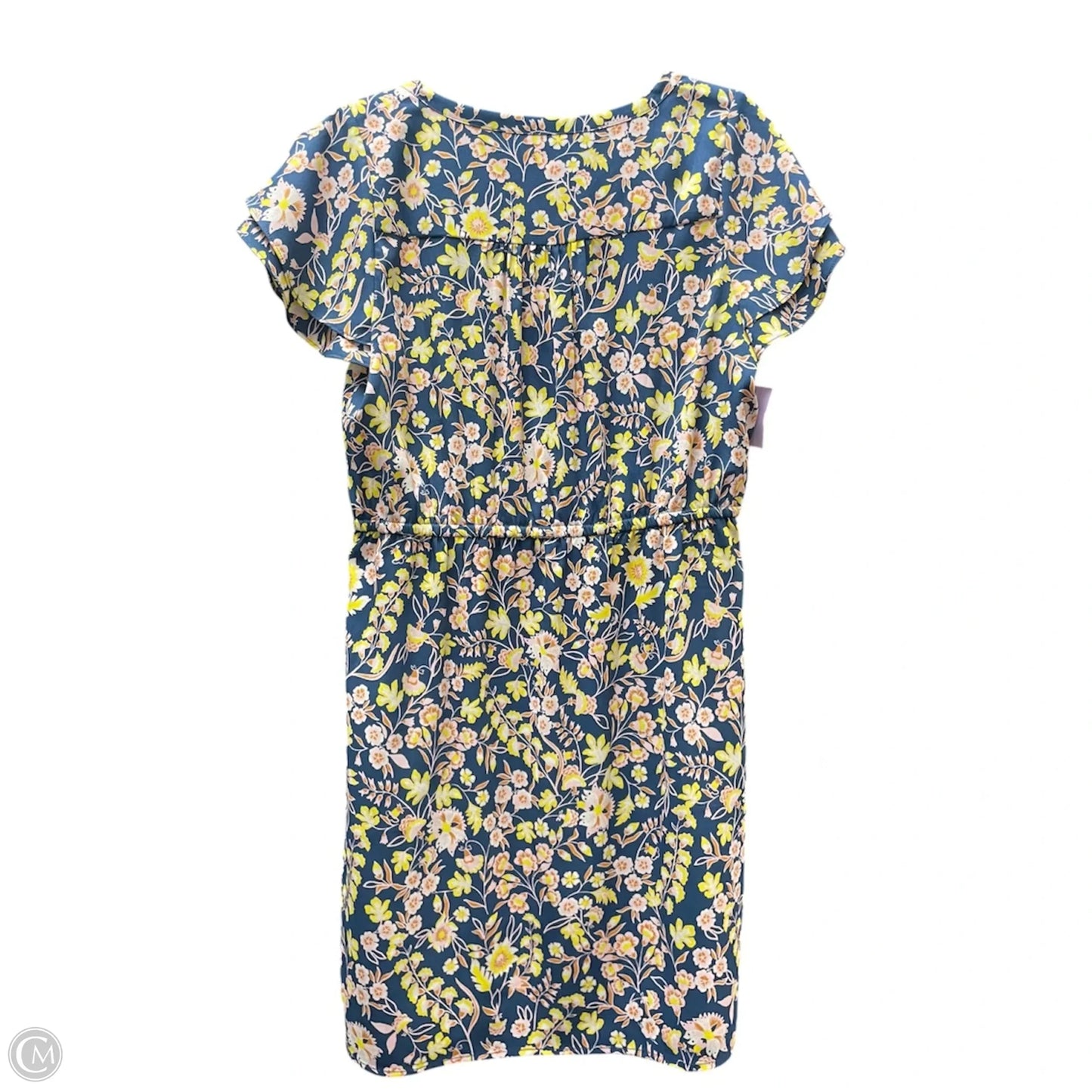 Dress Casual Short By GOODTHREADS In Floral Print, Size: M