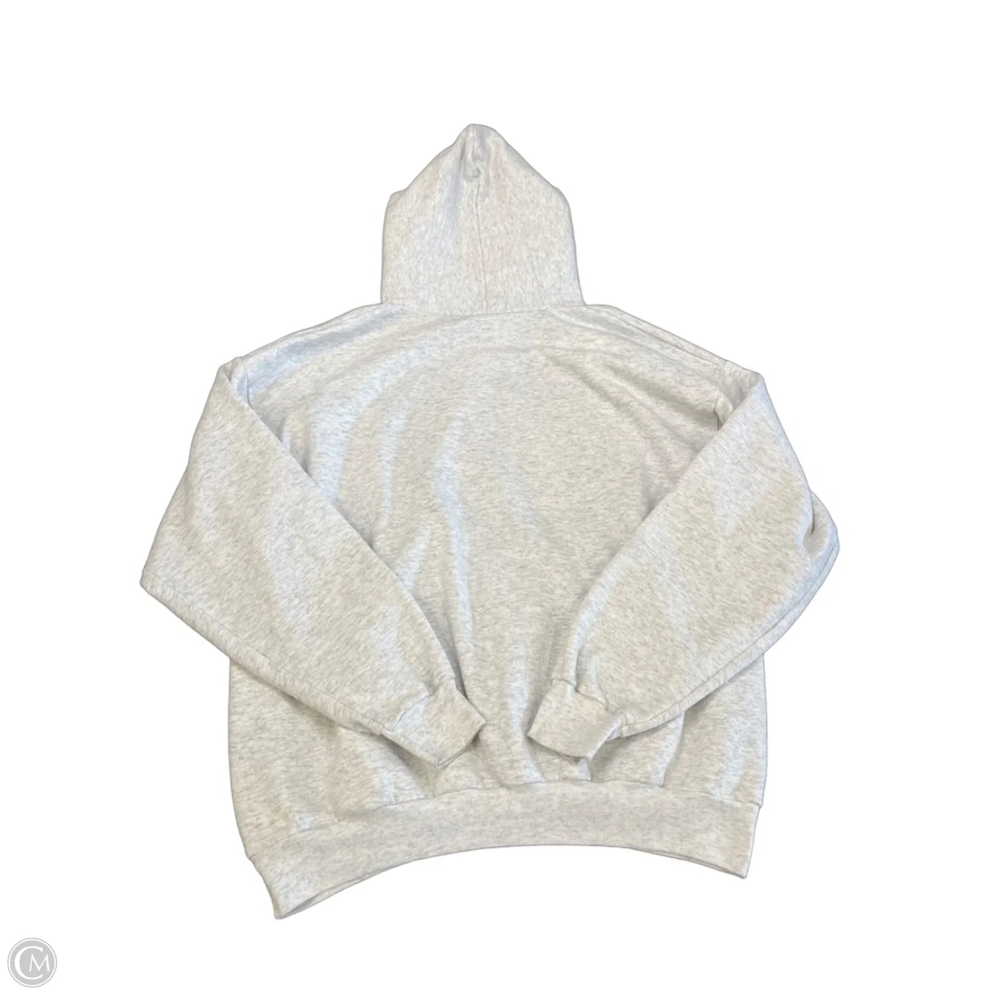 Sweatshirt Hoodie By Hanes In Grey, Size: Xl
