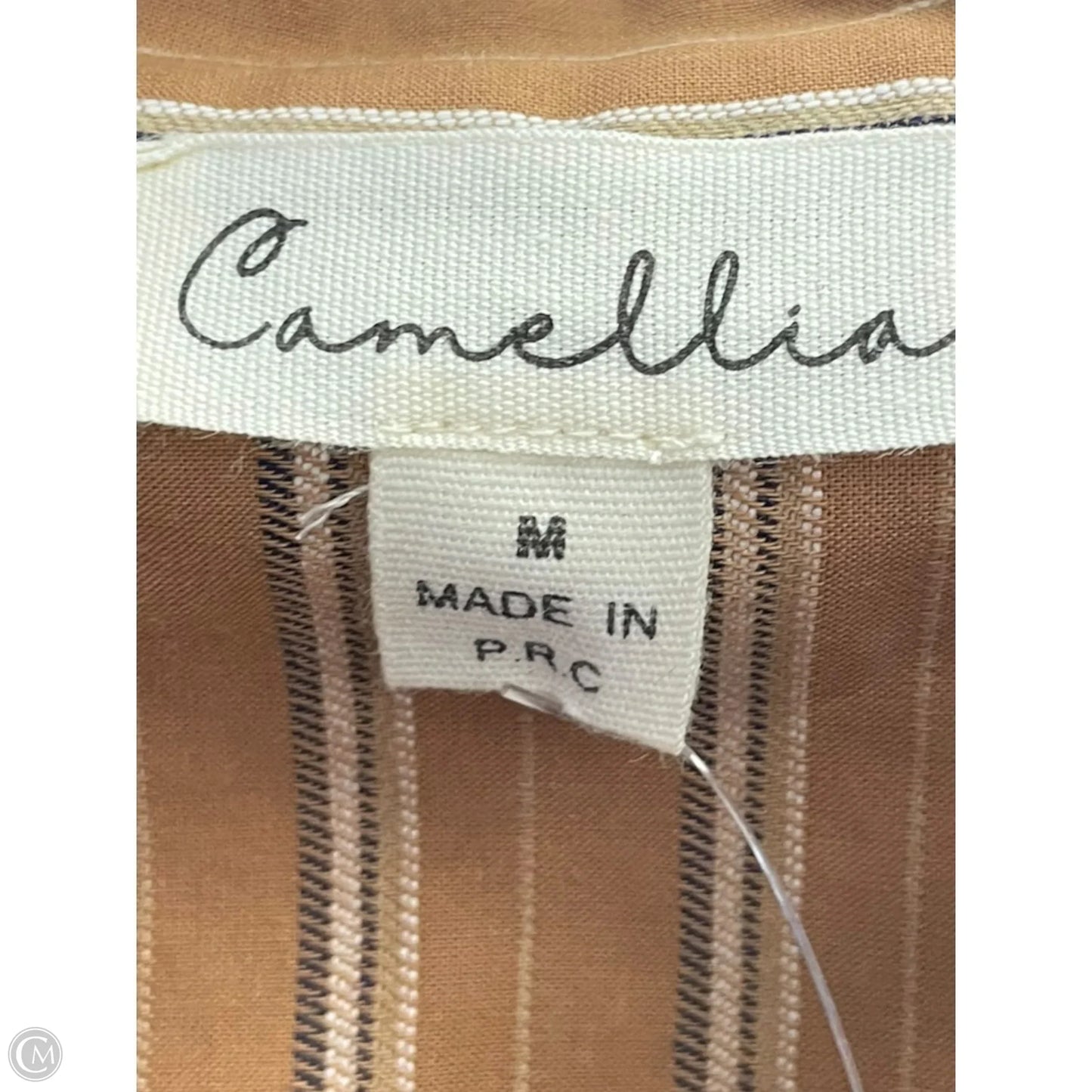 Dress Casual Short By Clothes Mentor In Striped Pattern, Size: M