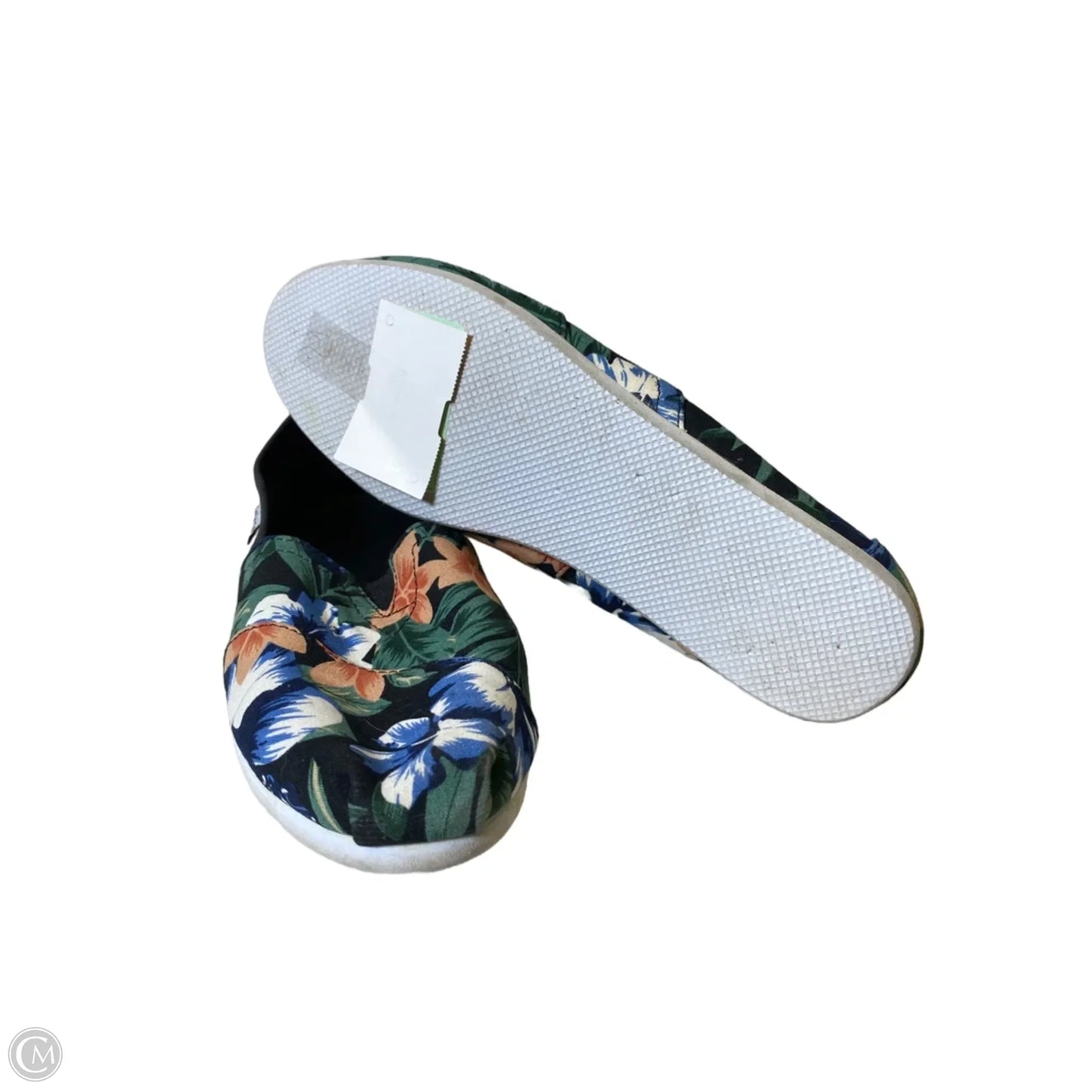 Shoes Flats By Charlie Paige In Floral Print, Size: 8