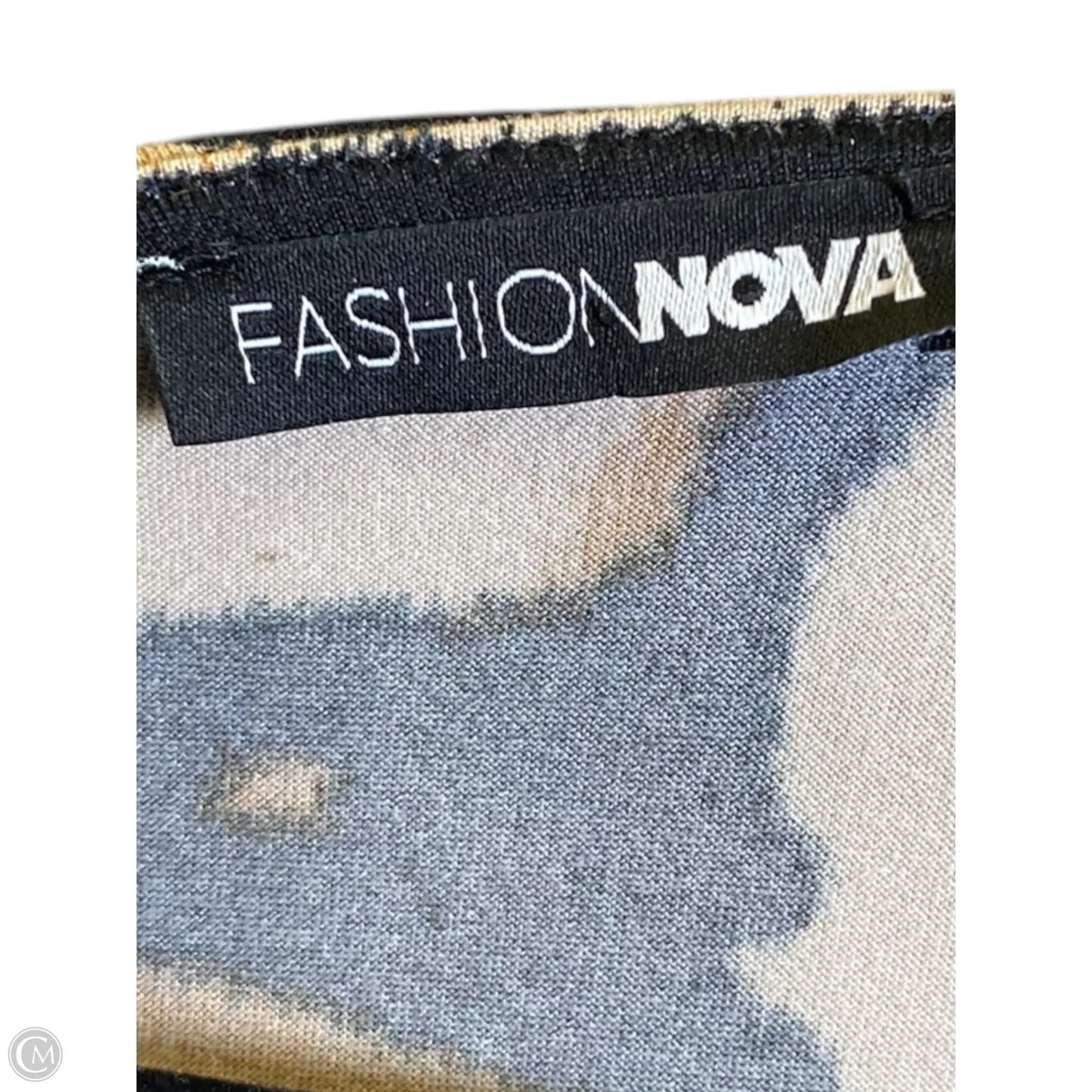 Dress Casual Maxi By Fashion Nova In Animal Print, Size: L