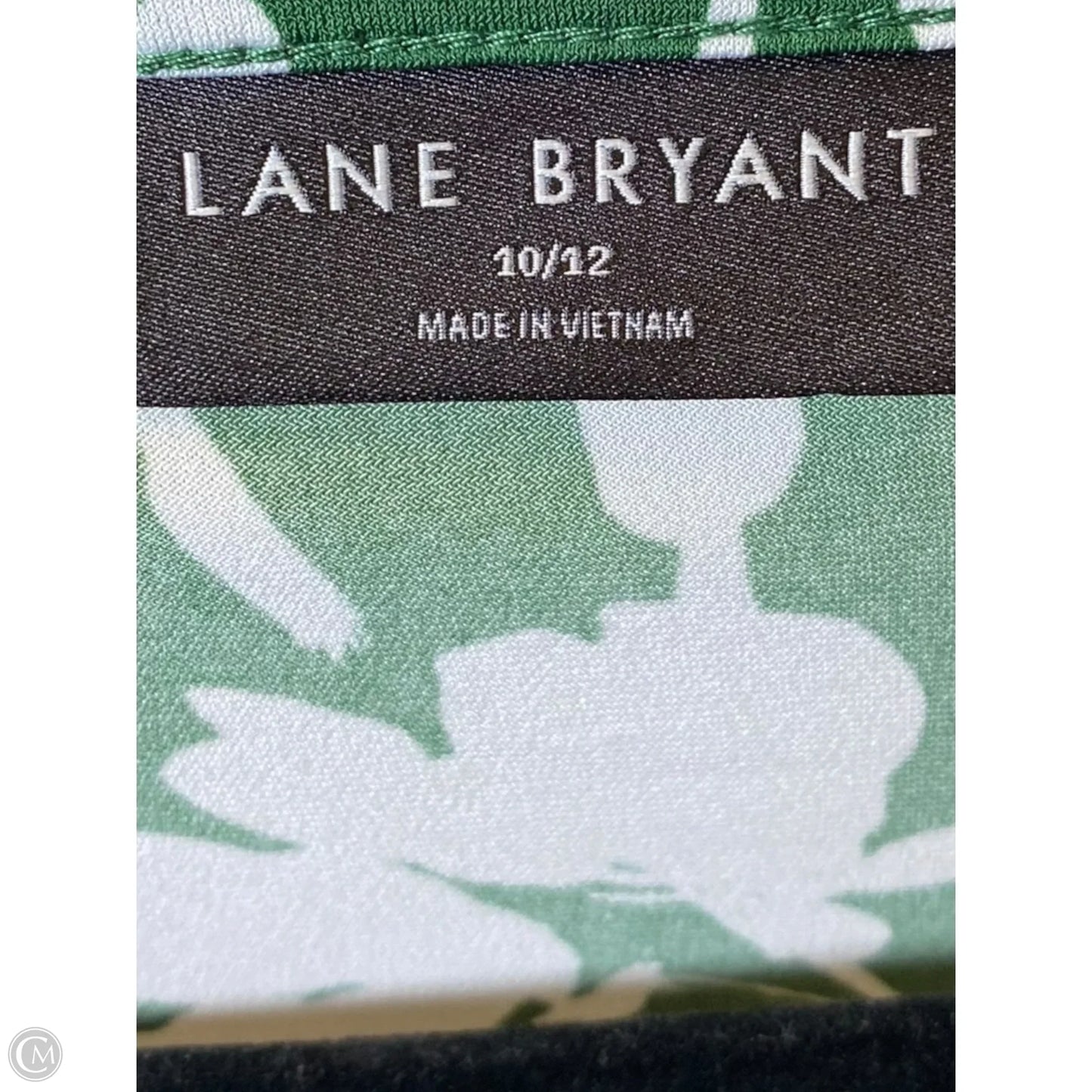 Blouse Short Sleeve By Lane Bryant In Green & White, Size: M