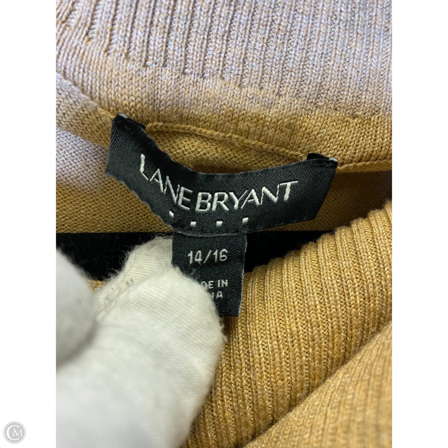 Sweater By Lane Bryant In Tan, Size: L