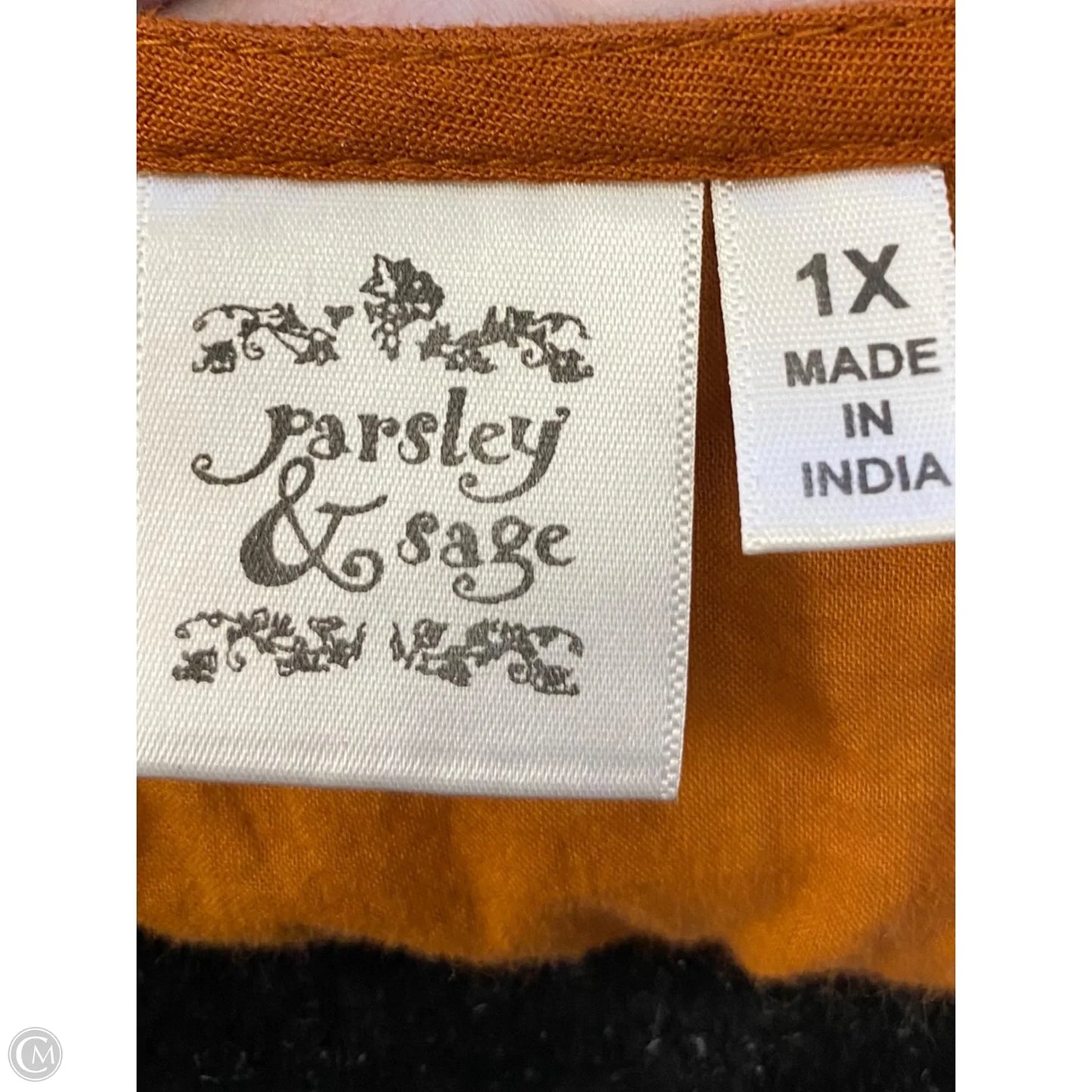 Top Short Sleeve By Parsley & Sage In Orange & White, Size: 1x
