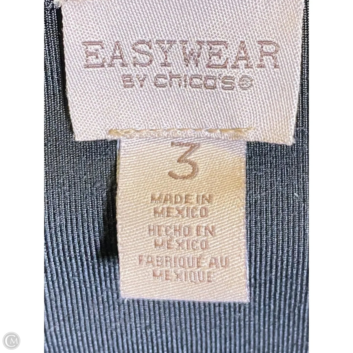 Blouse Long Sleeve By Easywear By Chicos In Black, Size: Xl