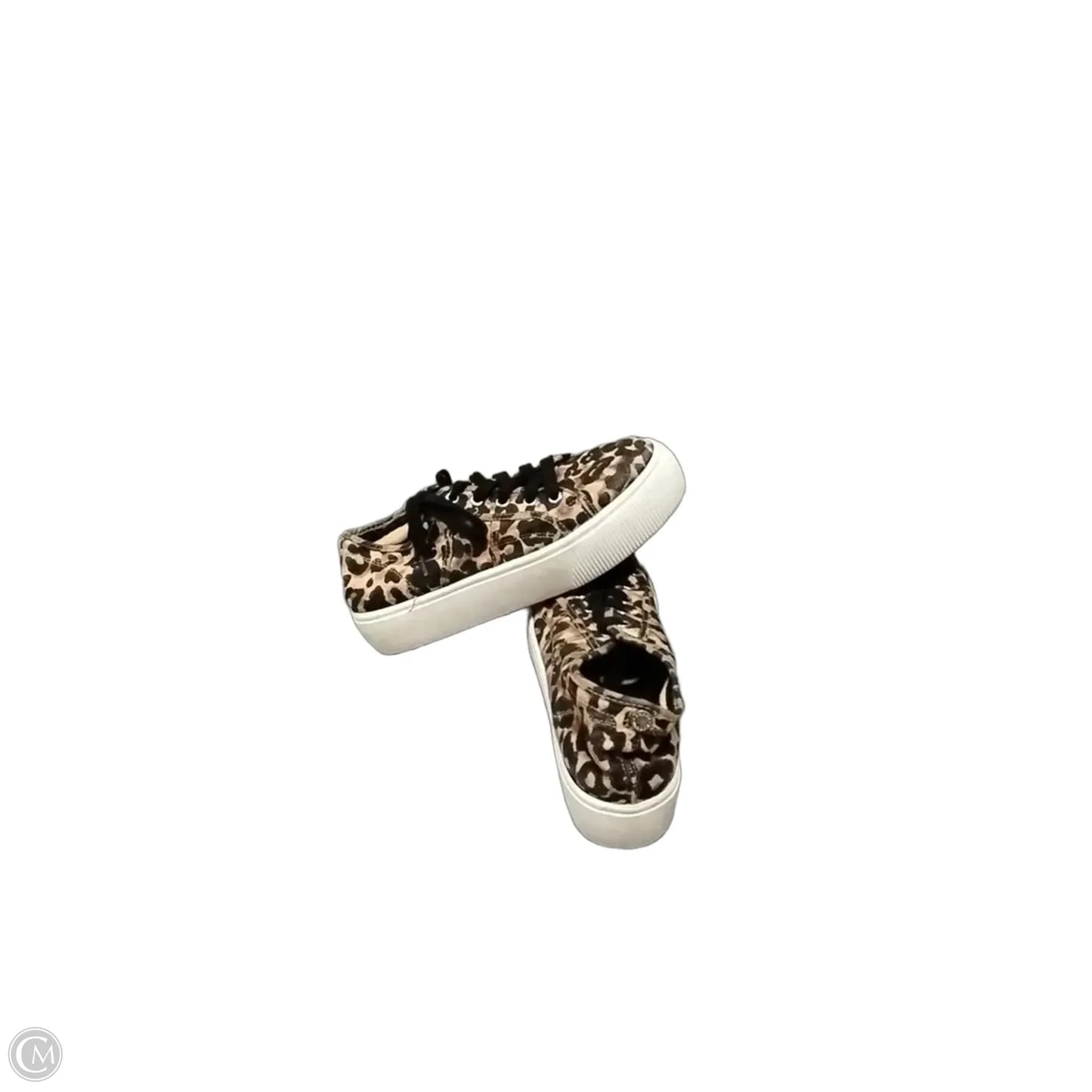 Shoes Sneakers By Steve Madden In Leopard Print, Size: 9