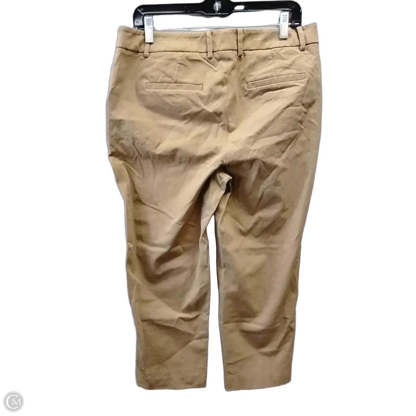 Pants Cargo & Utility By Chicos In Brown, Size: 12