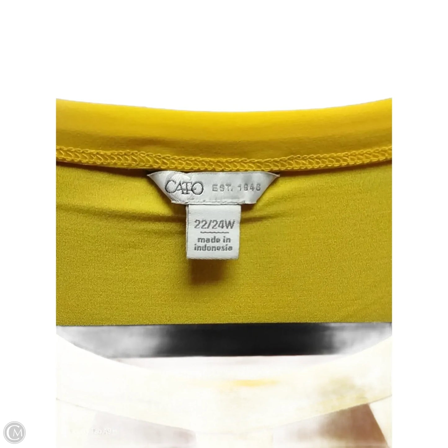 Blouse Short Sleeve By Cato In Yellow, Size: 3x