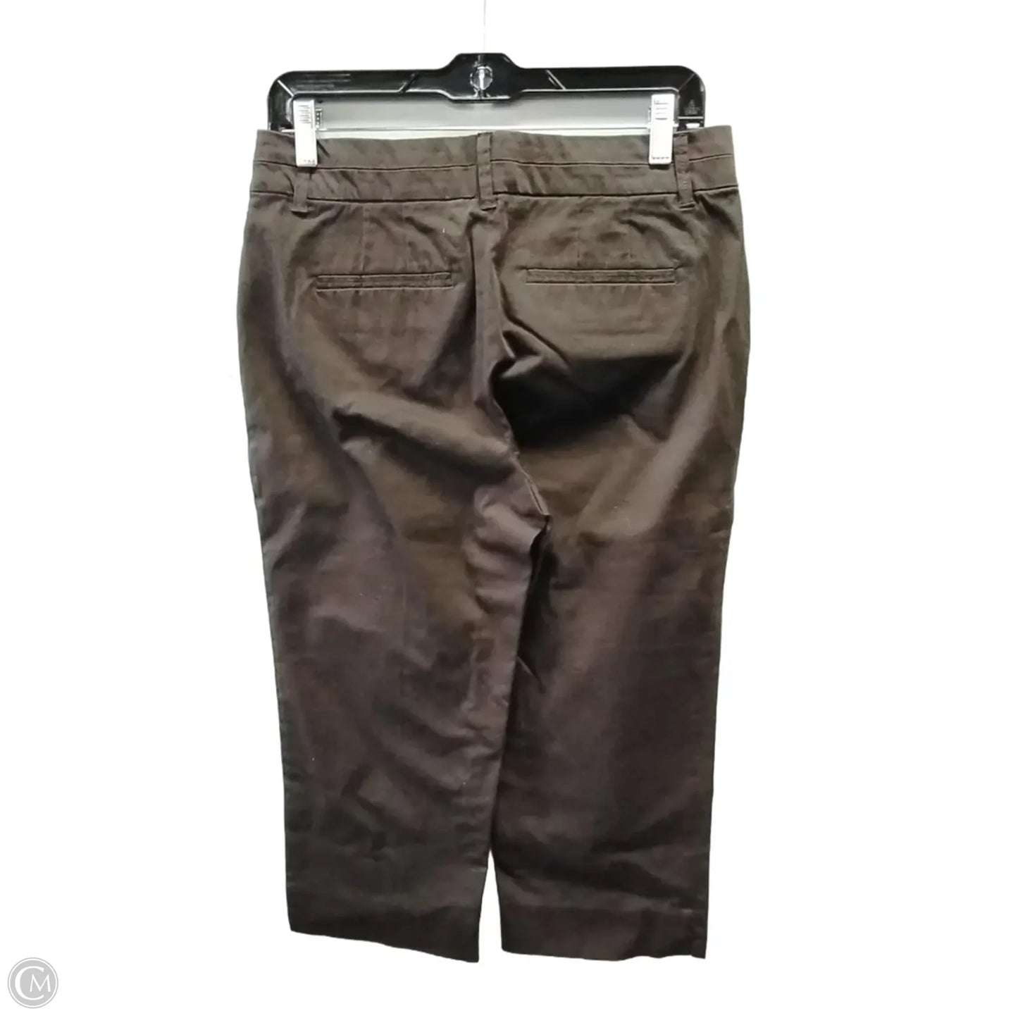 Capris By Intro In Brown, Size: 6