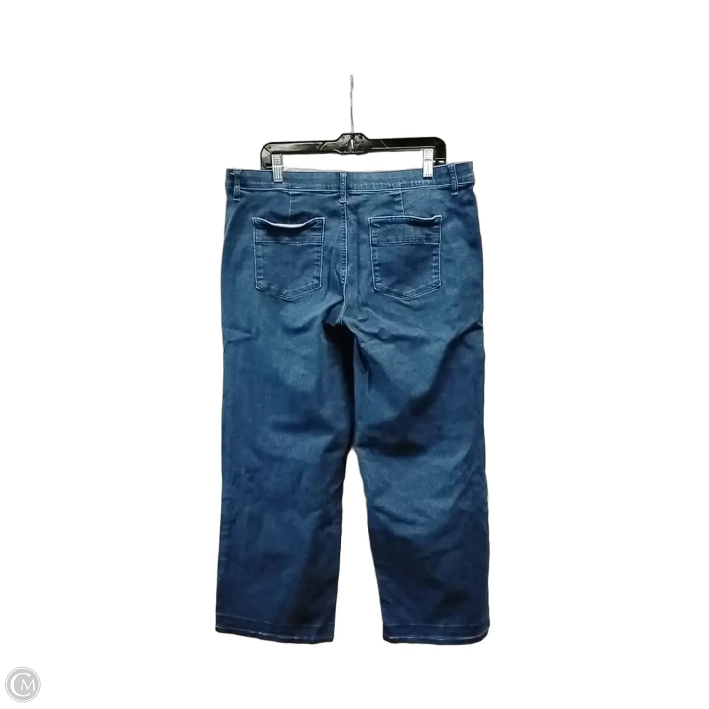 Jeans Skinny By Intro In Blue, Size: 16