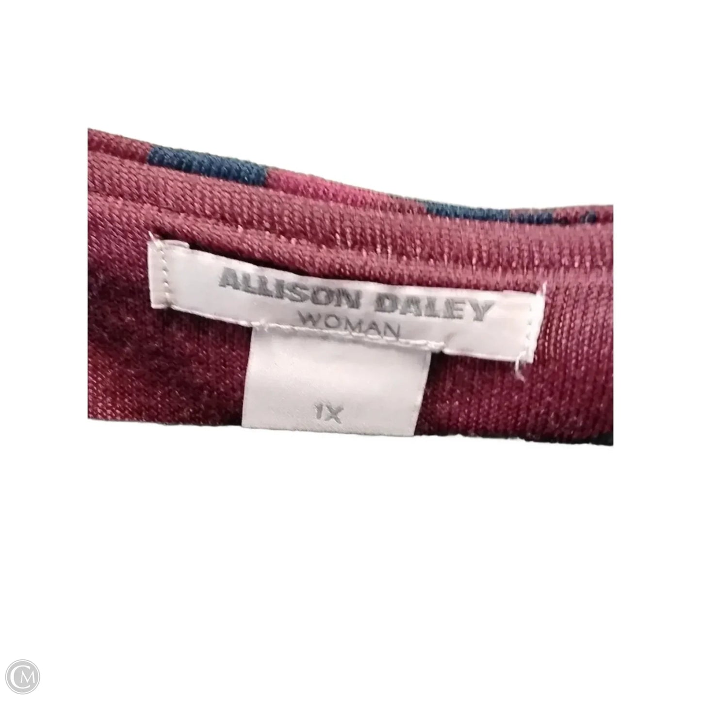 Top Long Sleeve By Allison Daley In Red, Size: 1x