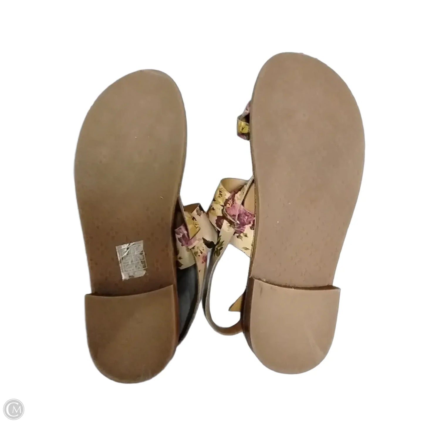 Sandals Designer By Patricia Nash In Floral Print, Size: 8.5