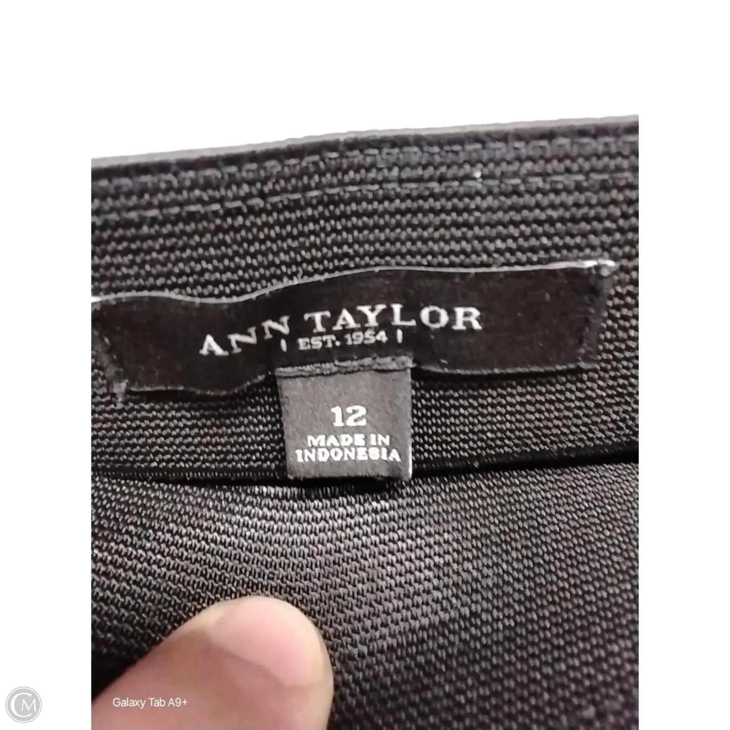 Skirt Midi By Ann Taylor In Black, Size: 12