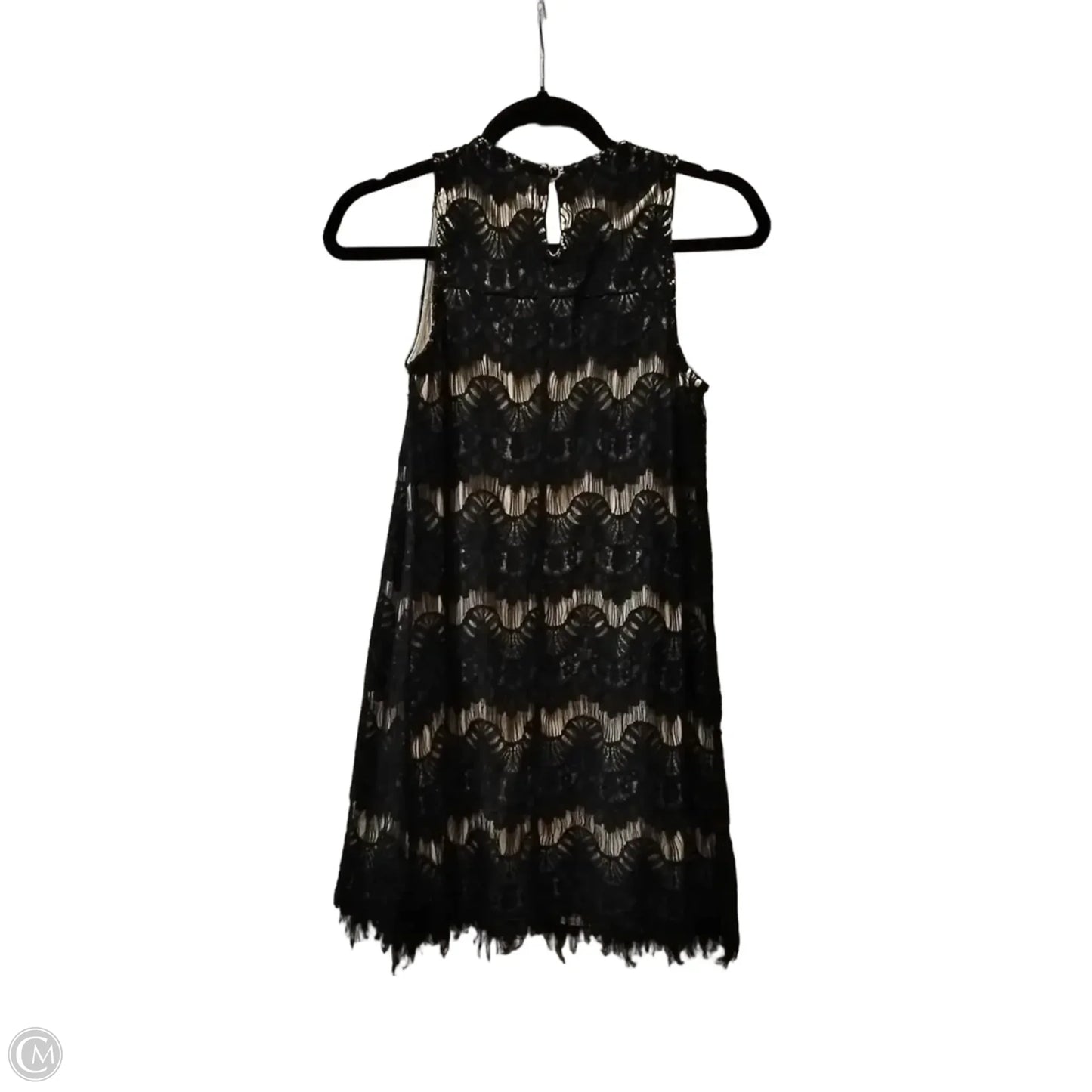 Dress Party Short By Speechless In Black & Cream, Size: S