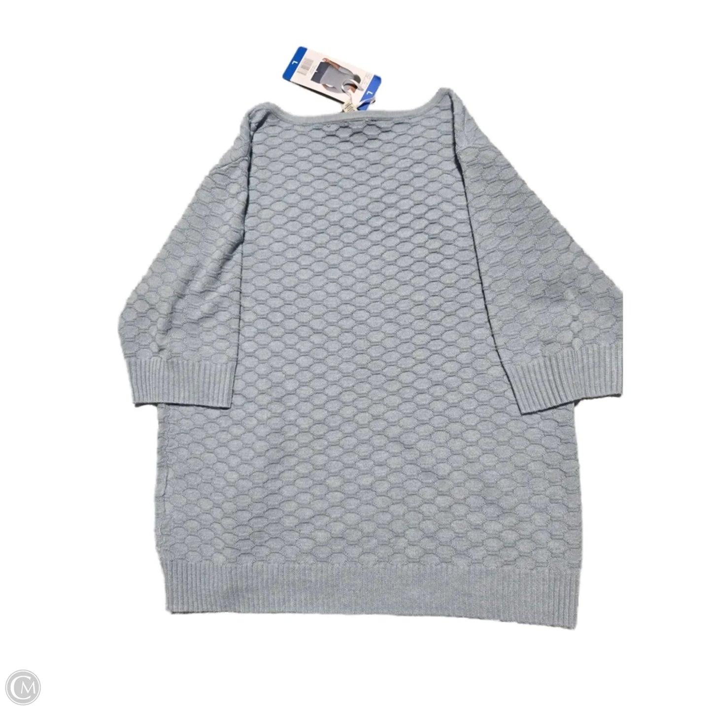 Sweater By Ella Moss In Blue, Size: L